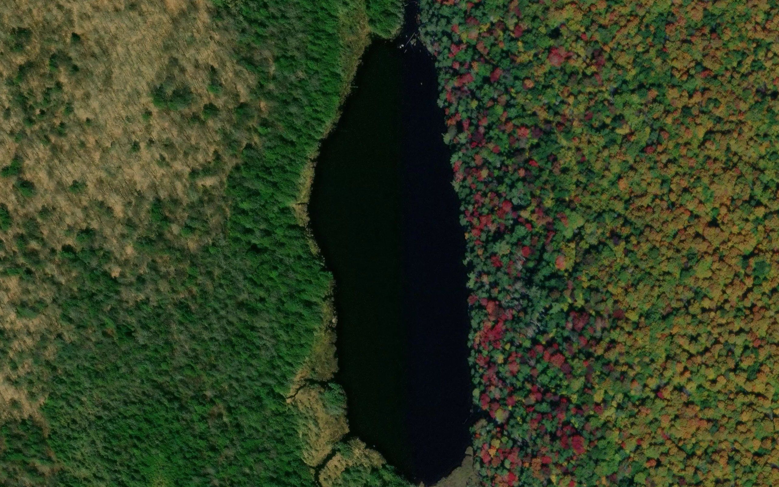 Unknown Pond