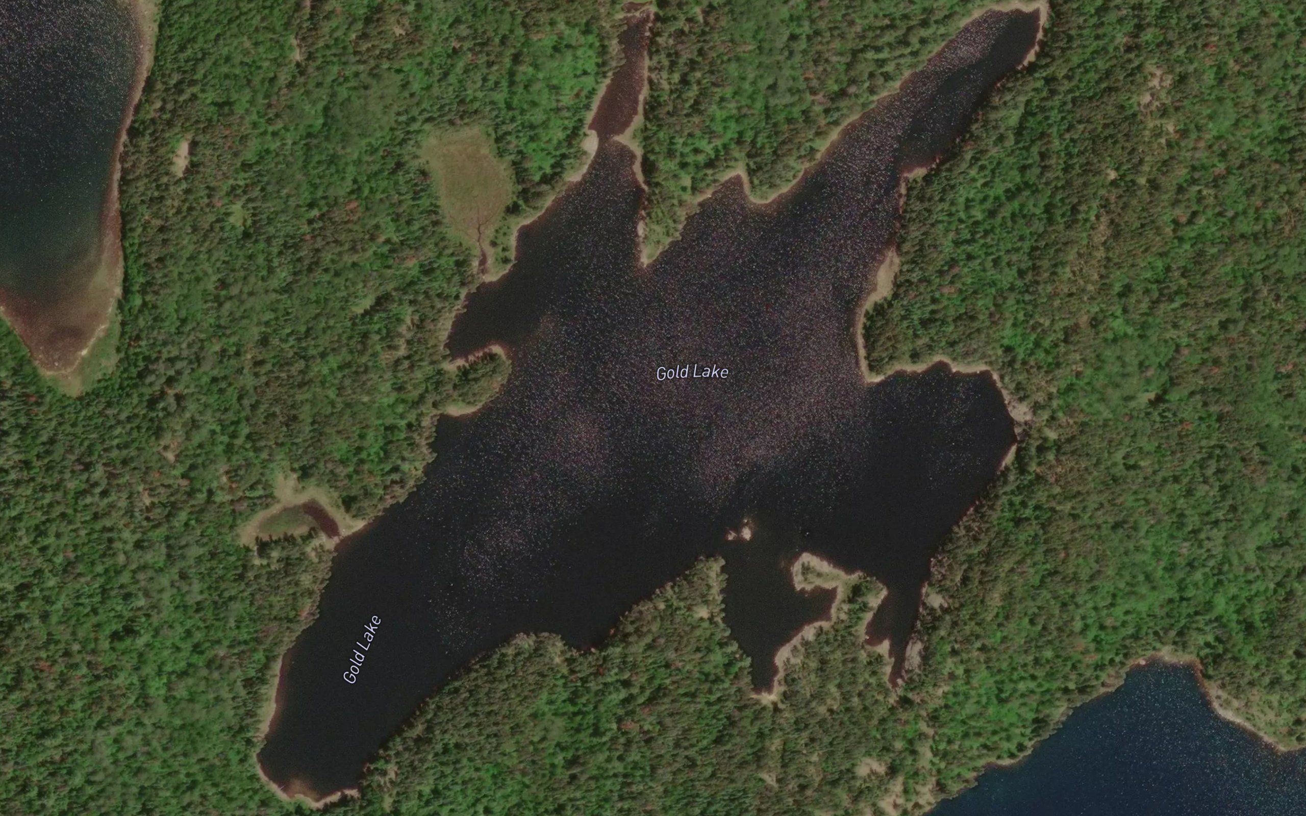 Gold Lake