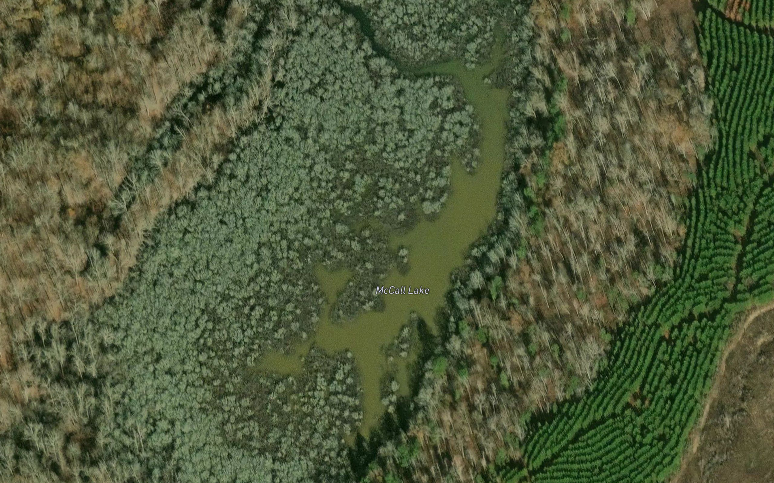 McCall Lake