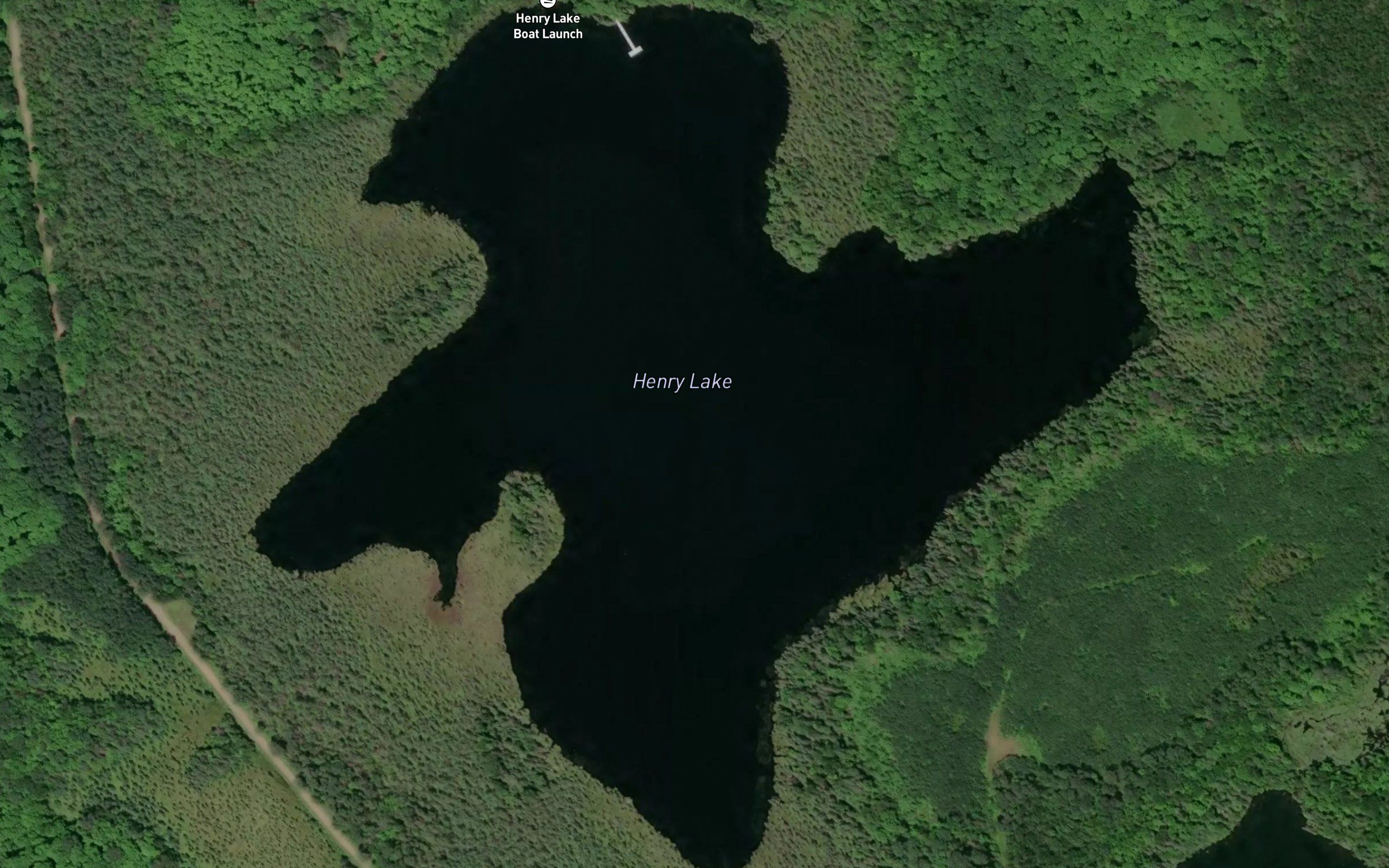 Henry Lake
