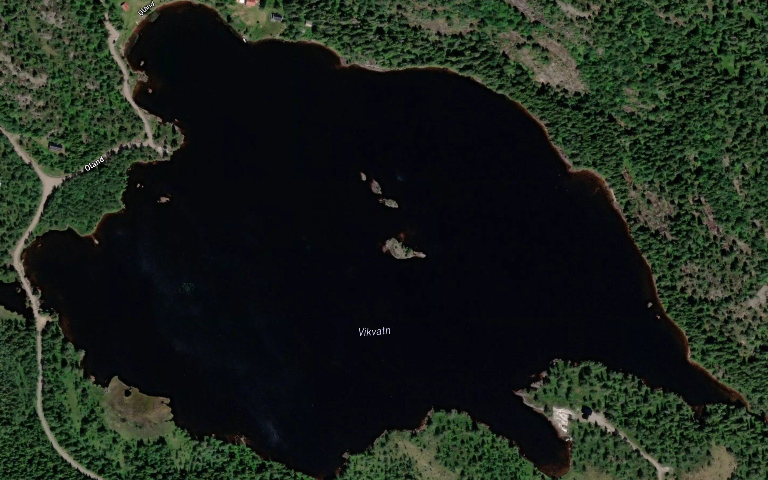 Vikvatn