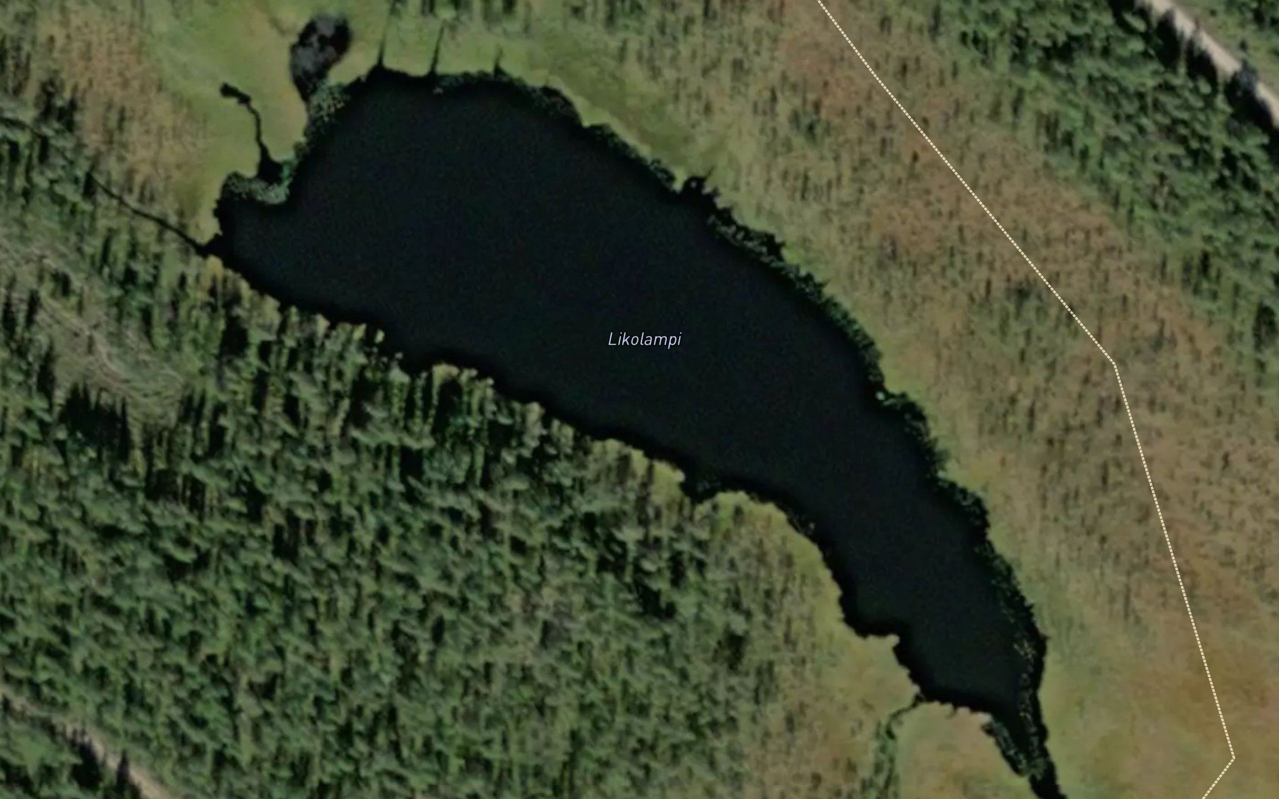 Likolampi