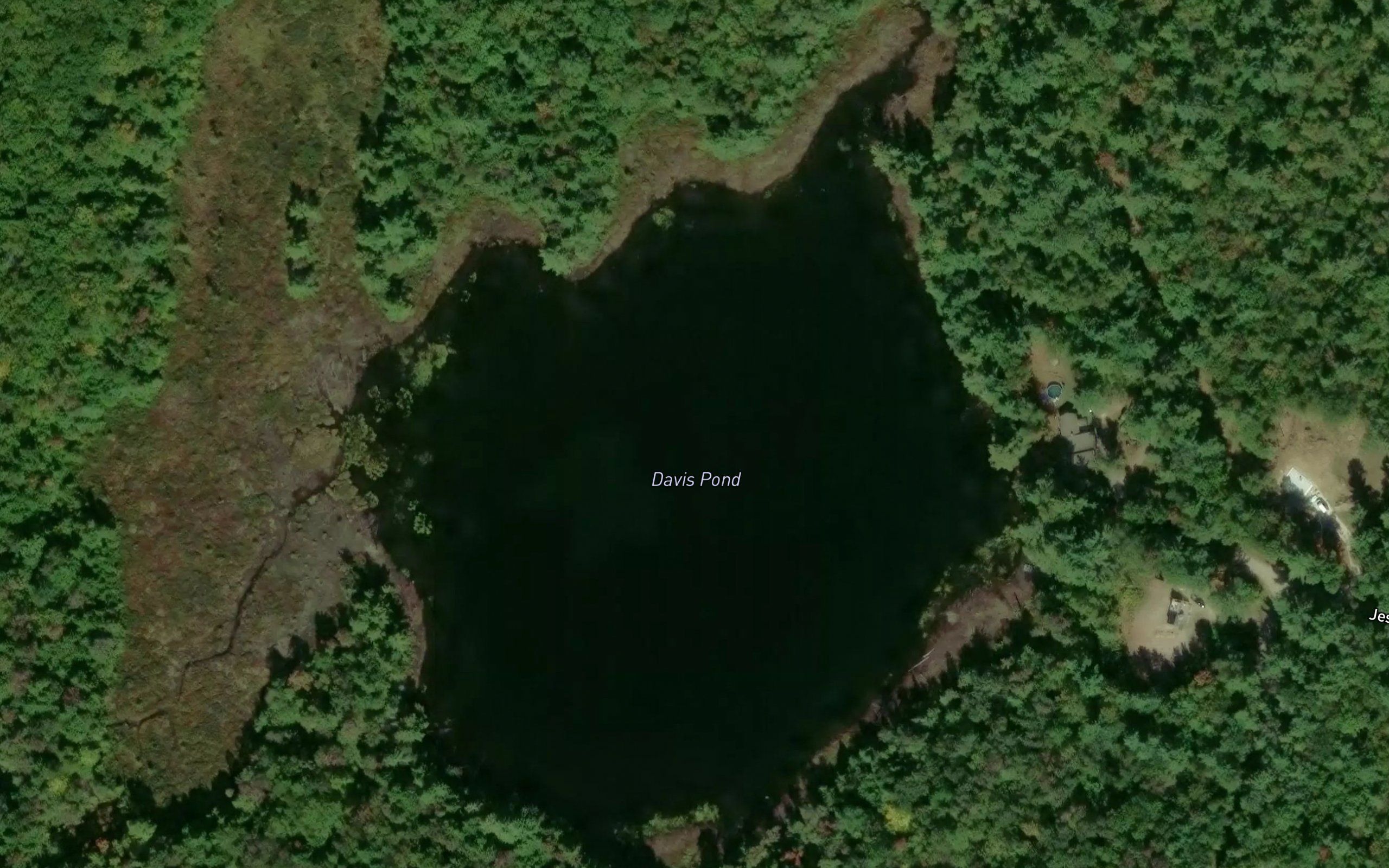 Davis Pond