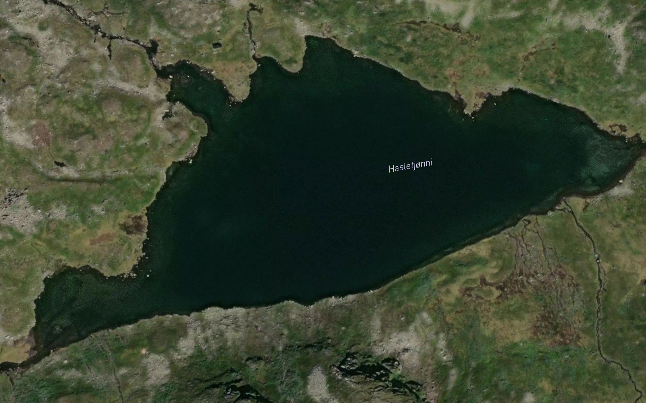 Hasletjorni