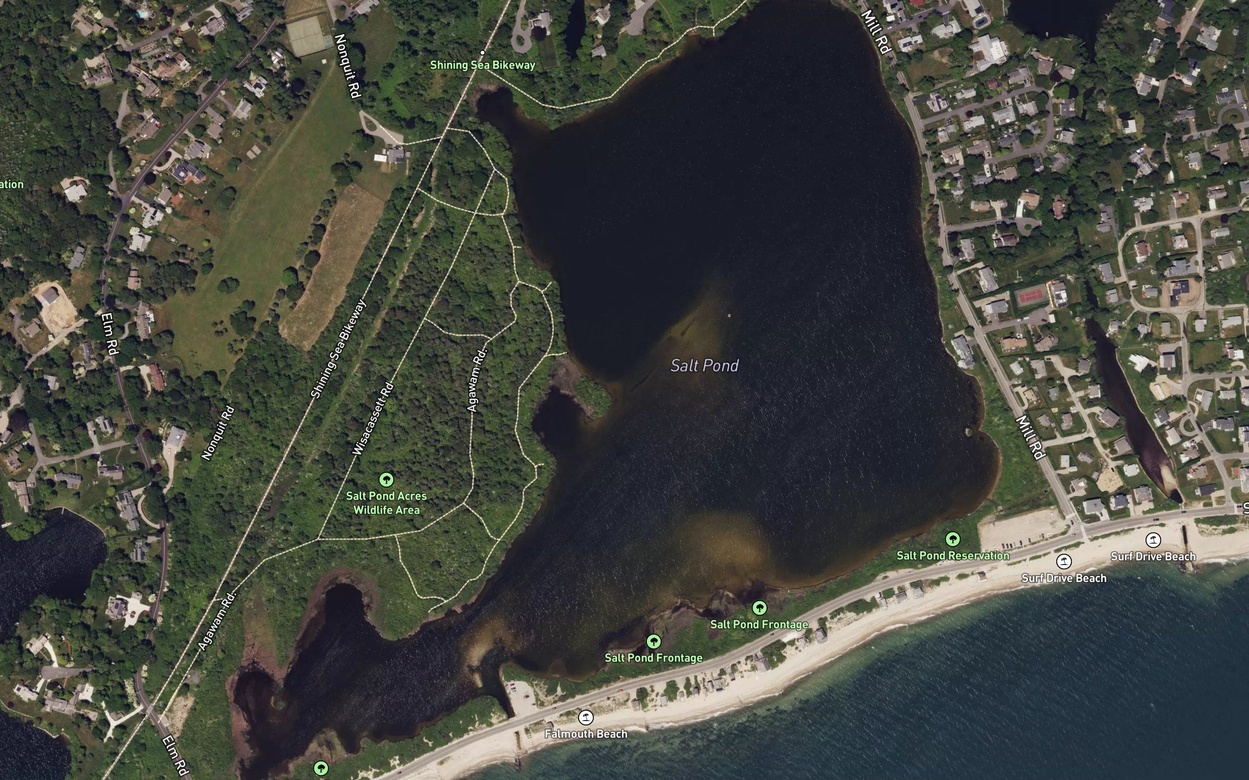 Salt Pond