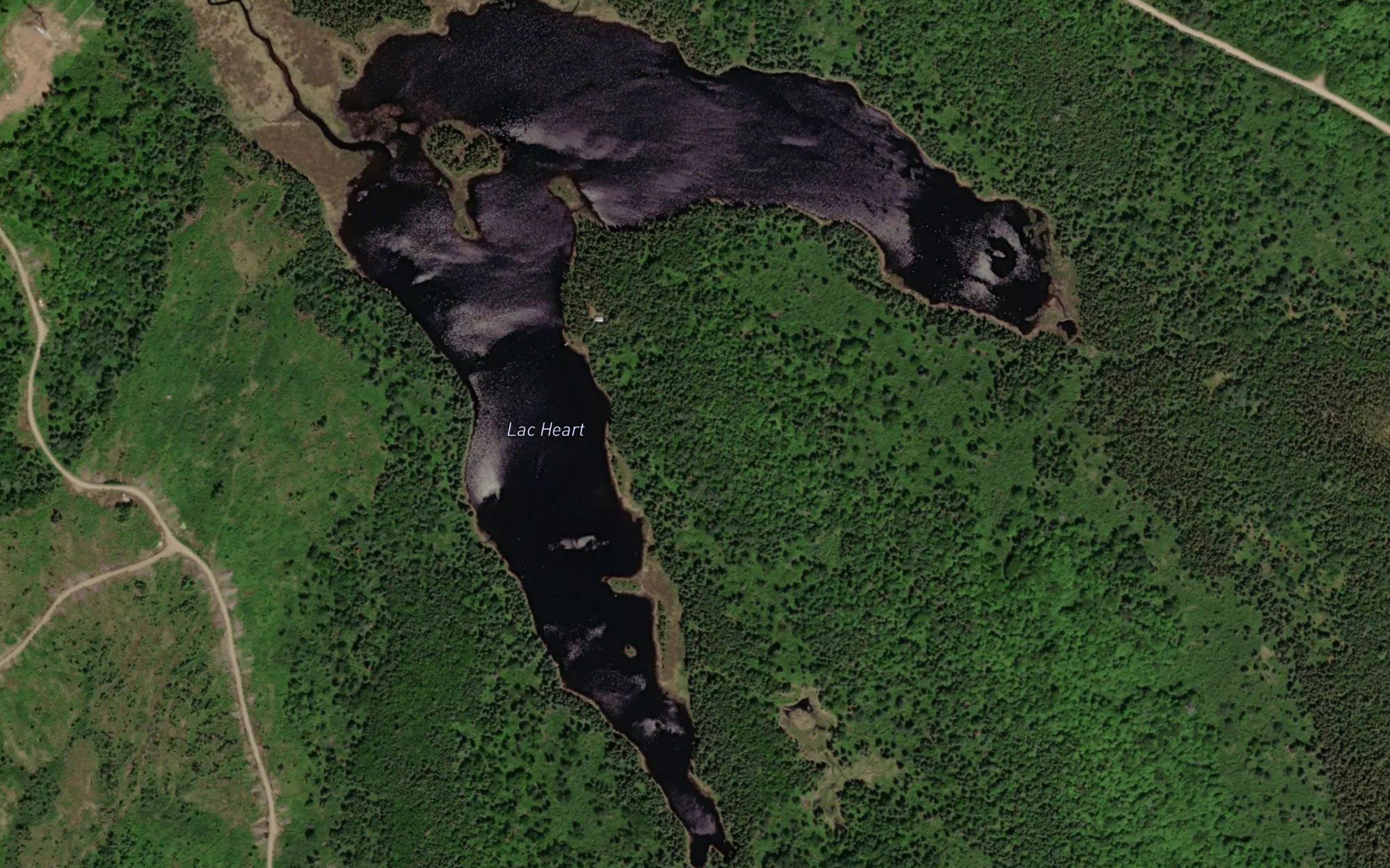 Lac Heart