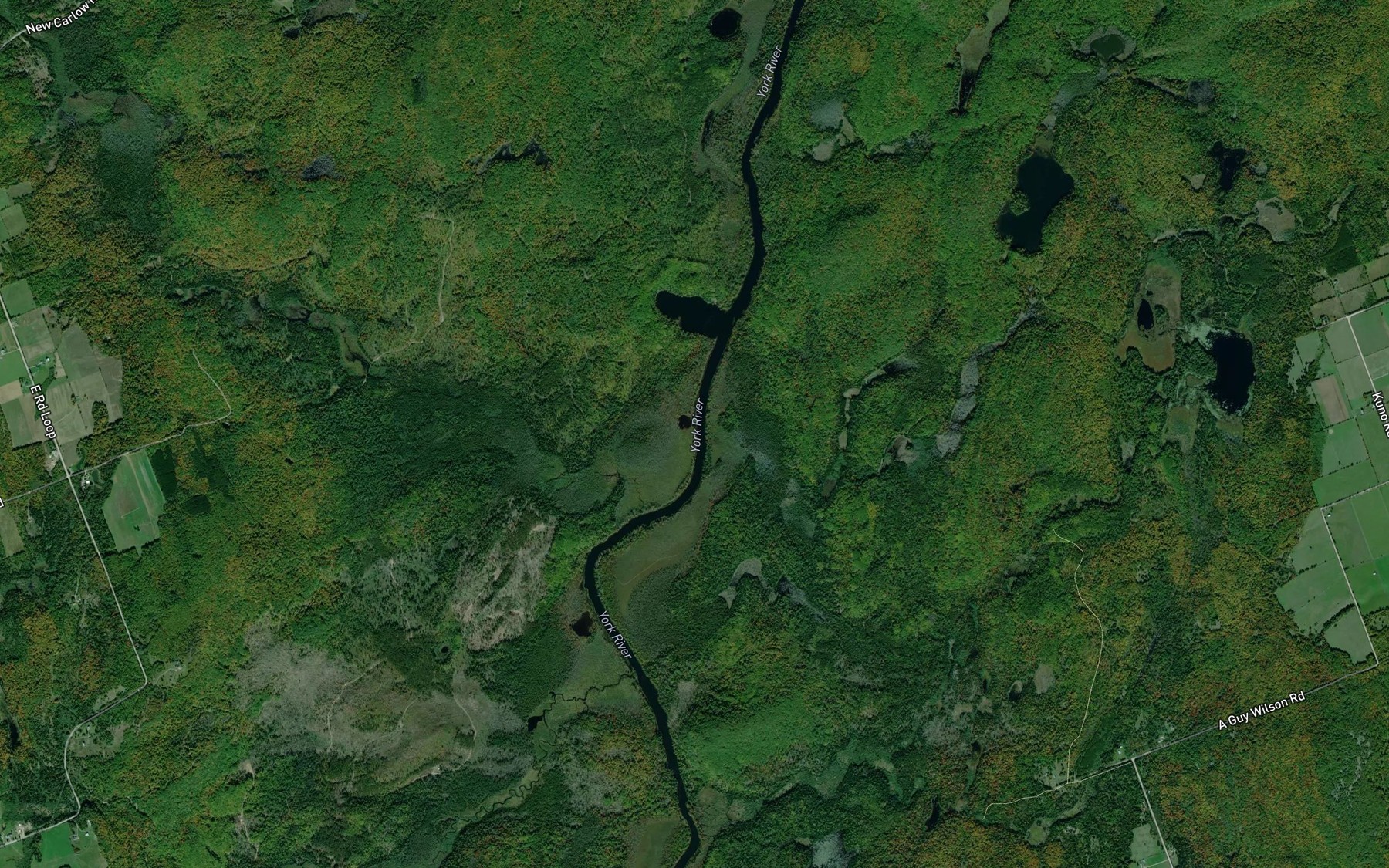 Satellite map of the Branch Bay