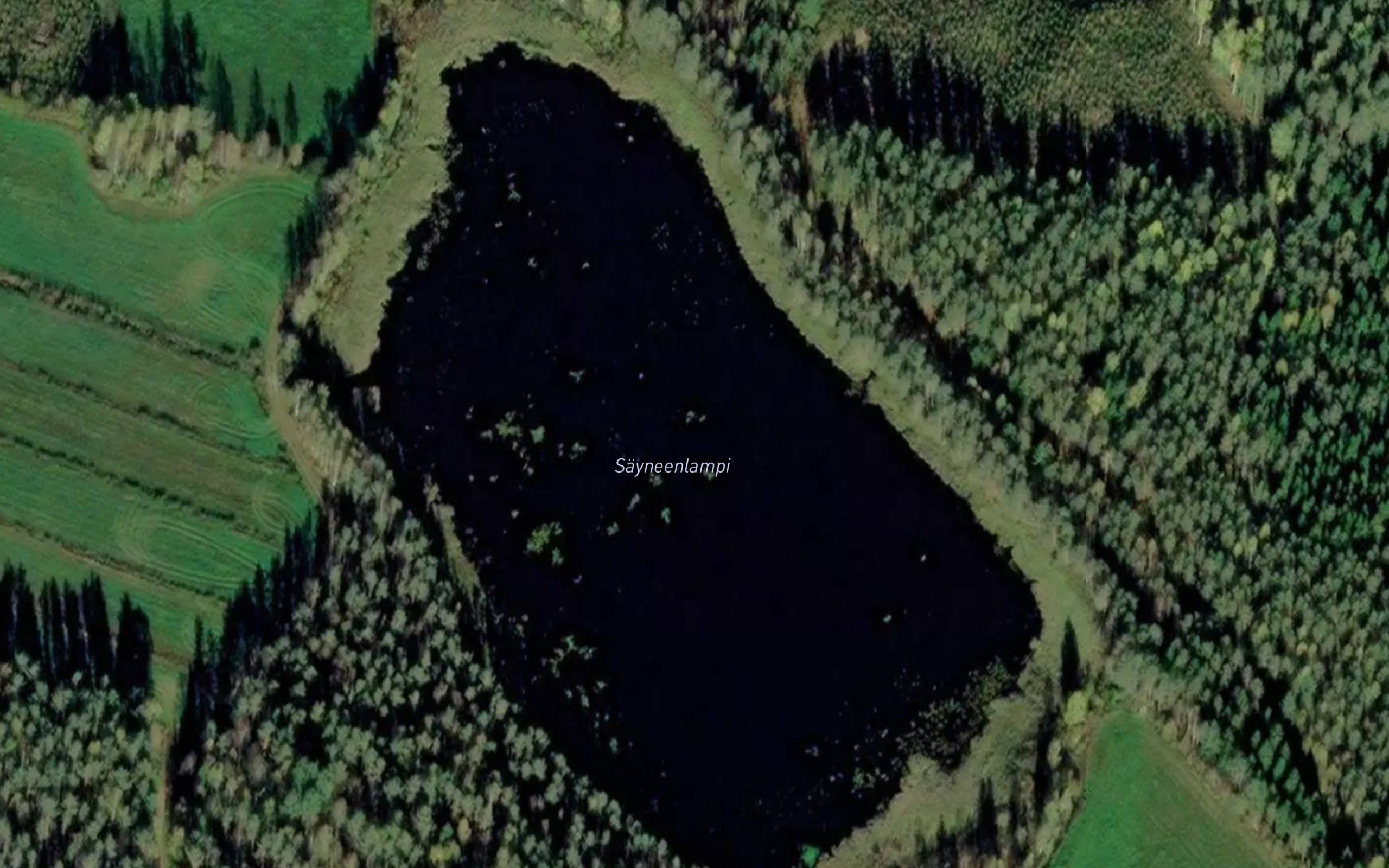 Sayneenlampi