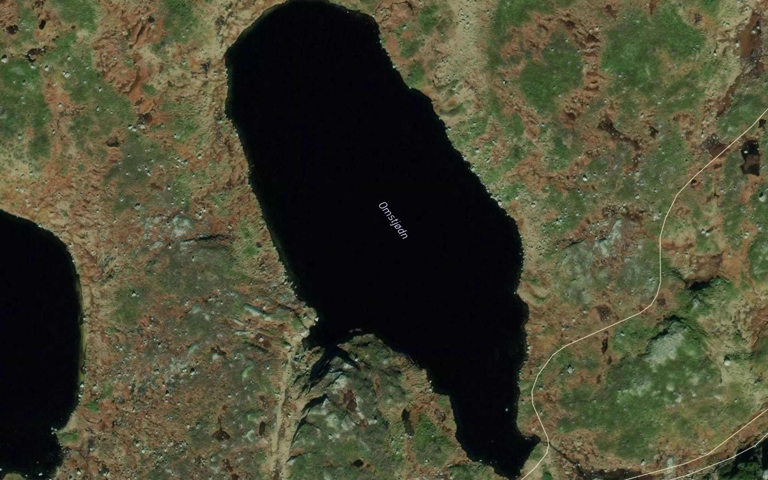 Omstjorn