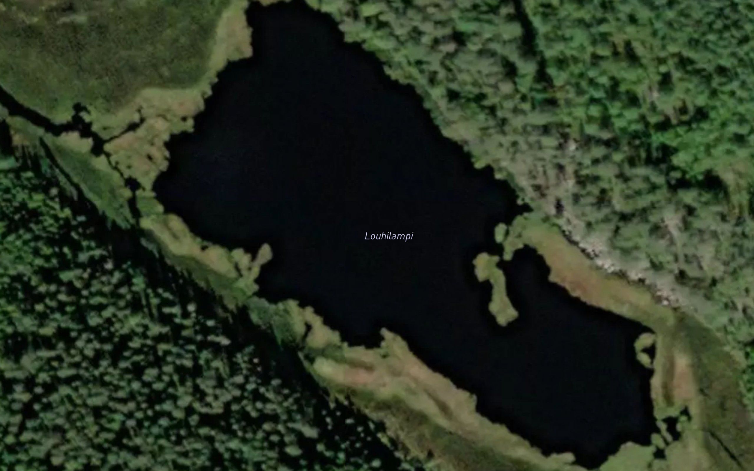 Louhilampi