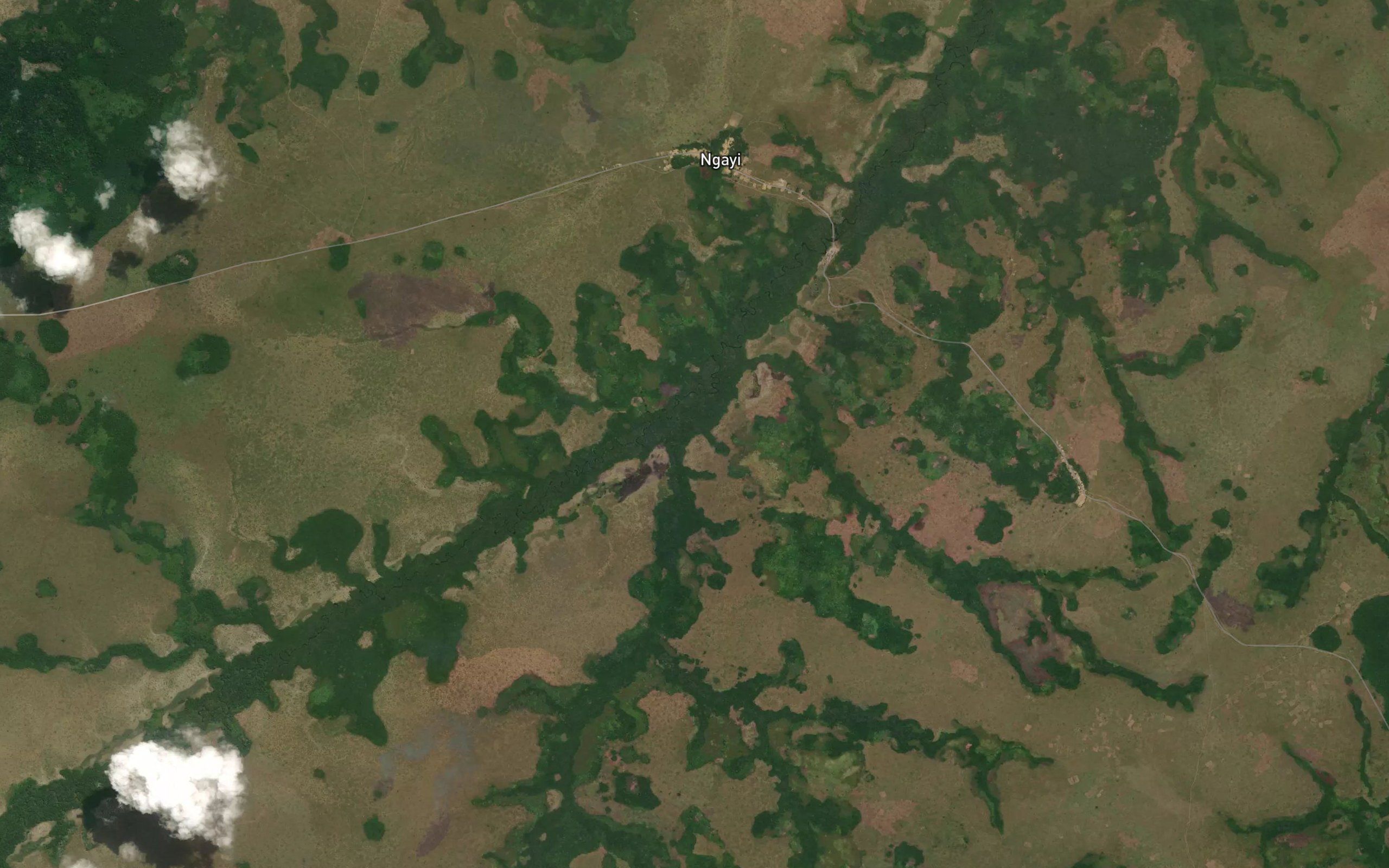 Nzoassi