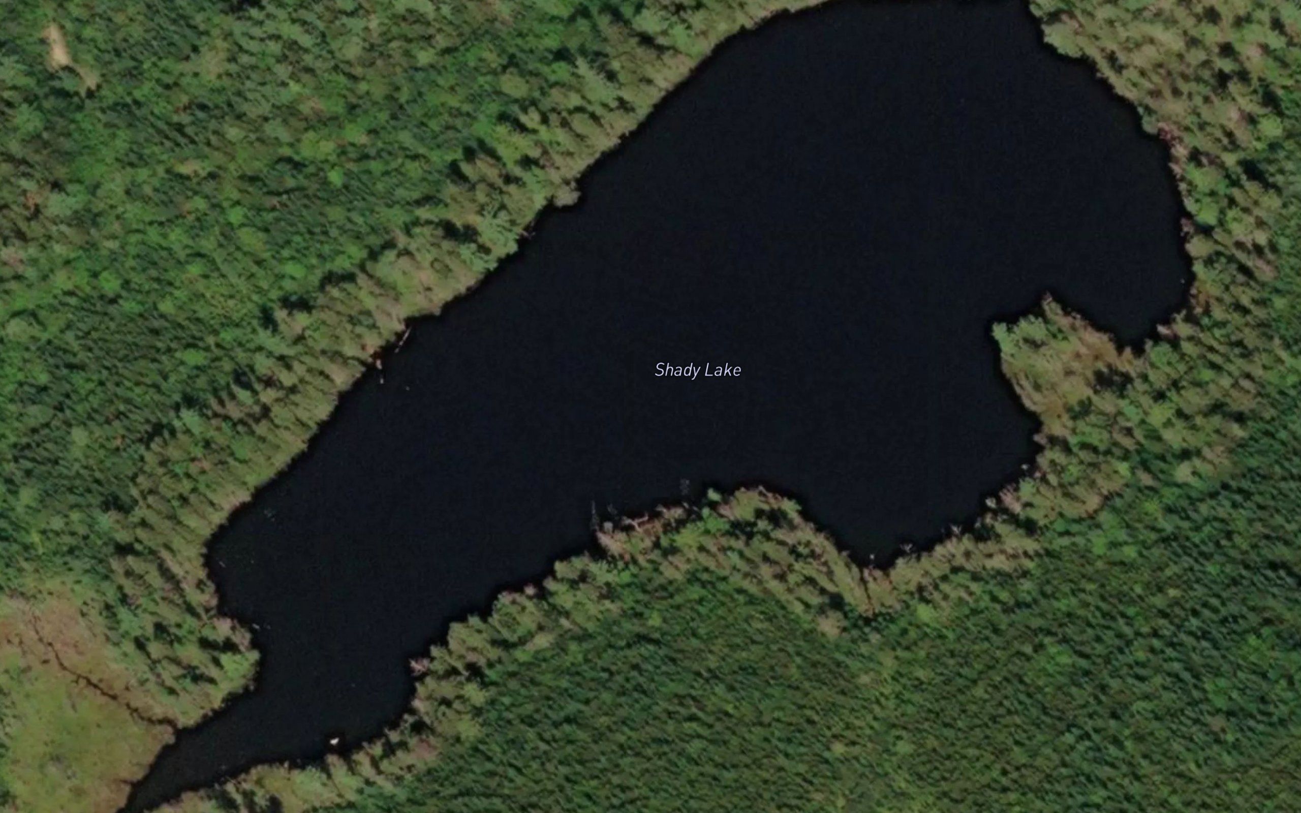 Shady Lake
