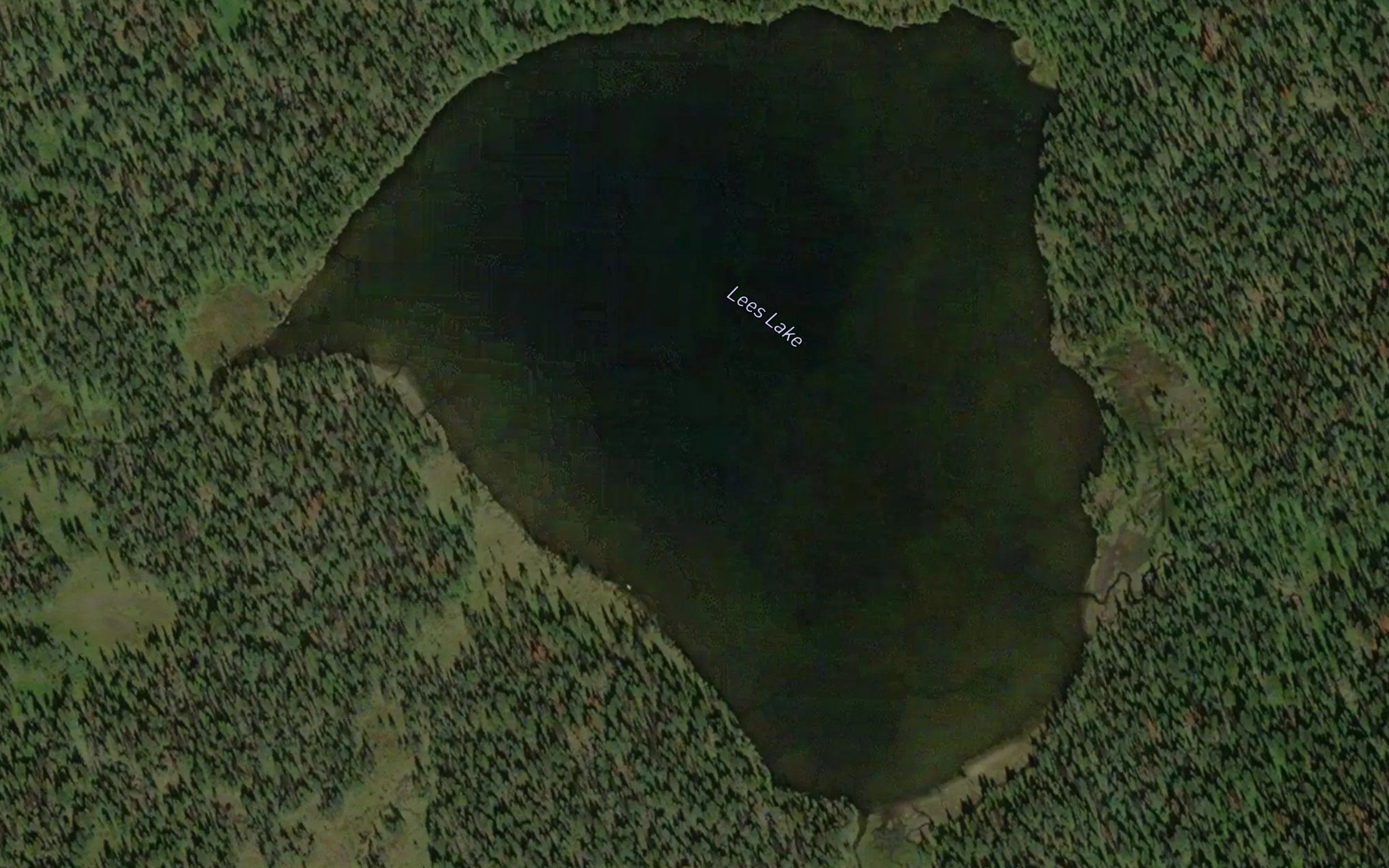 Lees Lake
