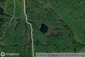 Willis Lake
