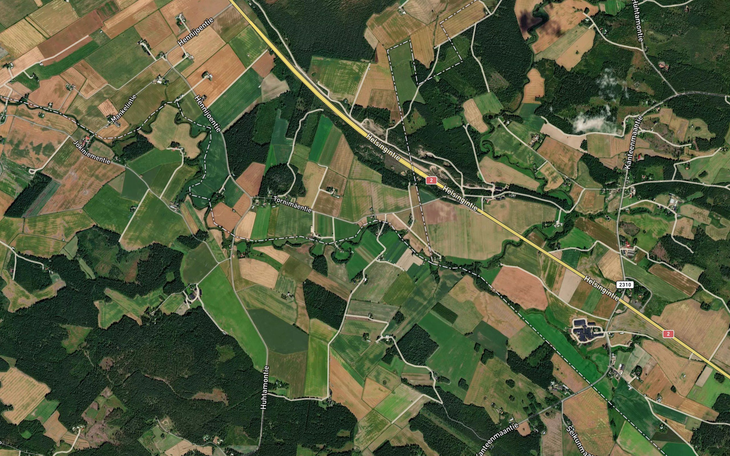 Viitioja