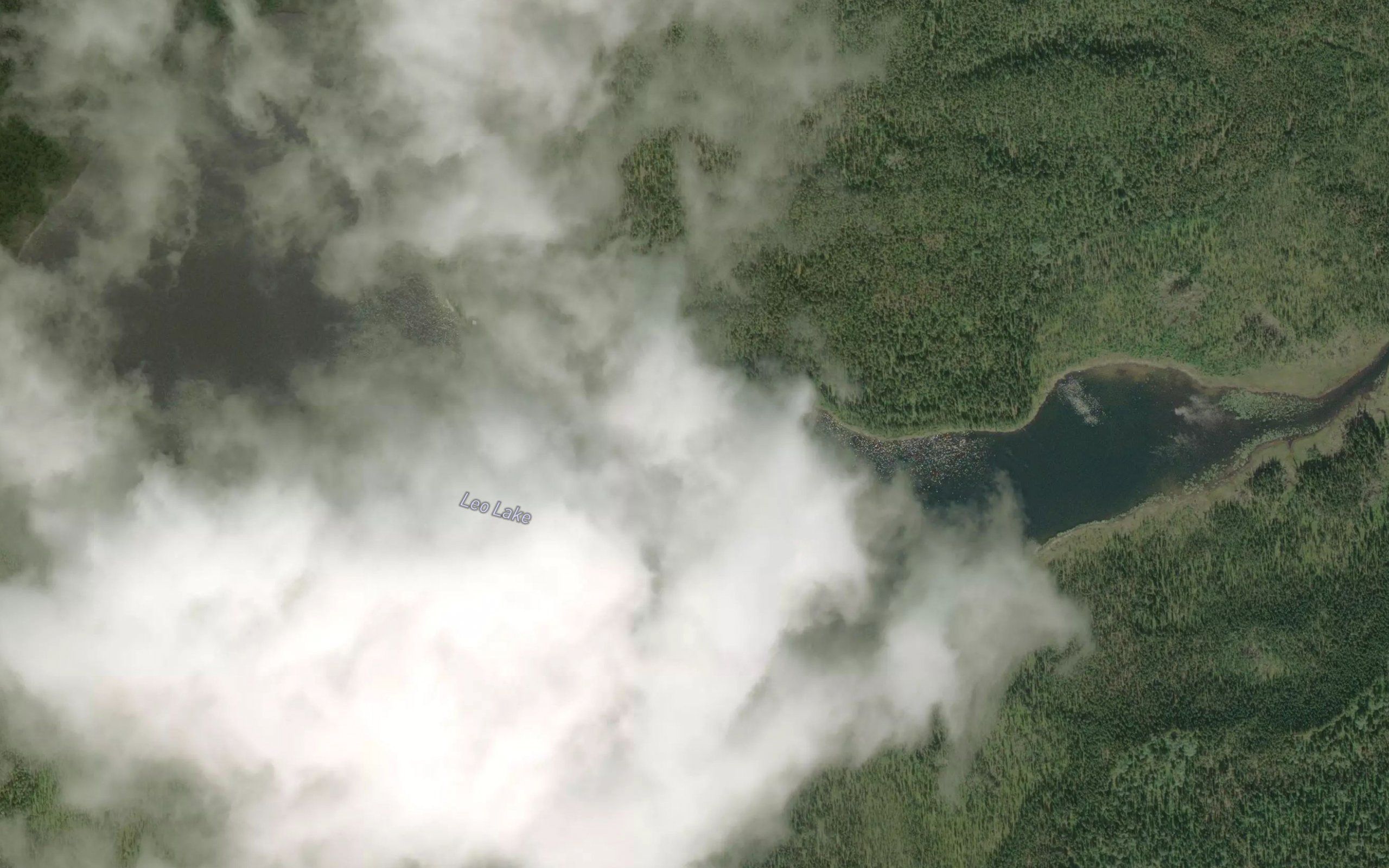 Leo Lake