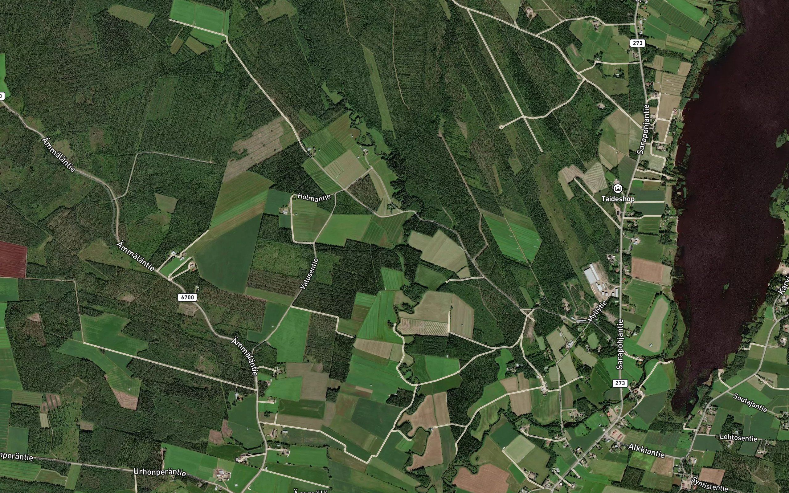 Krevonoja