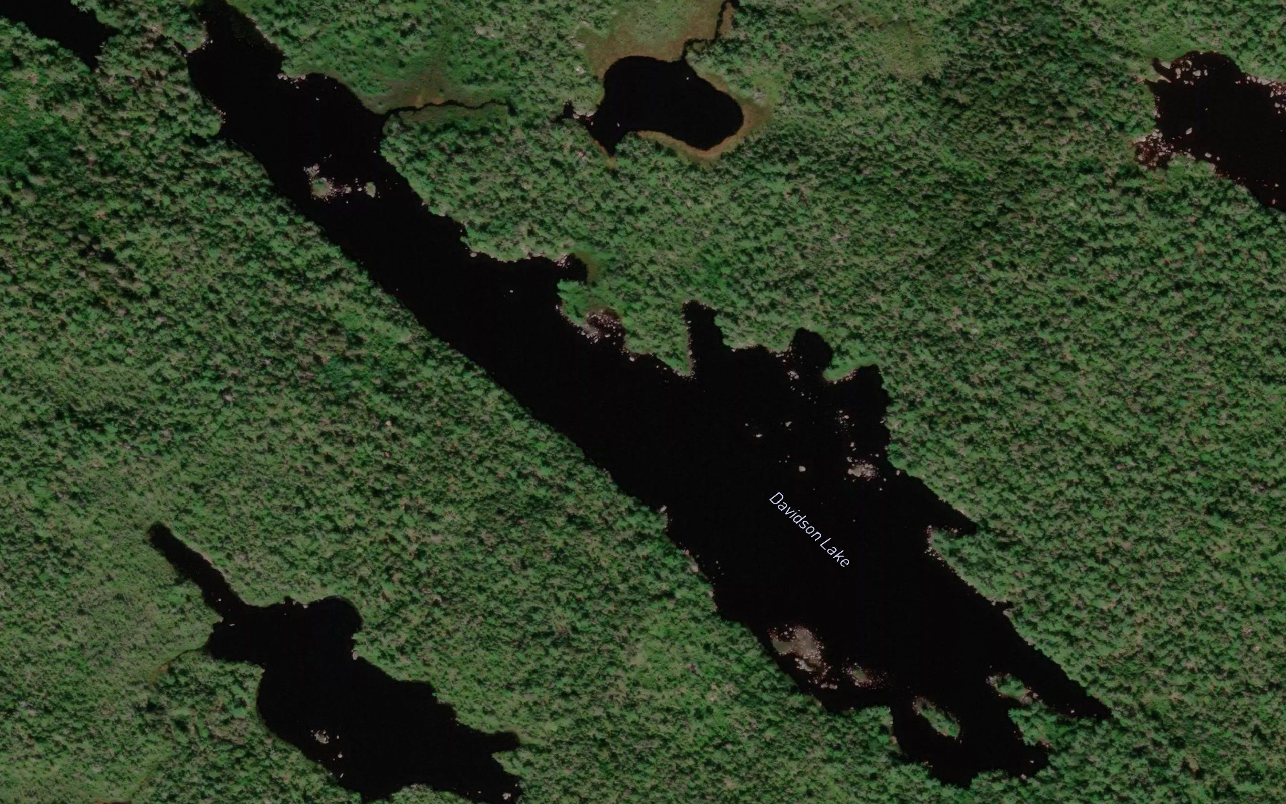 Davidson Lake