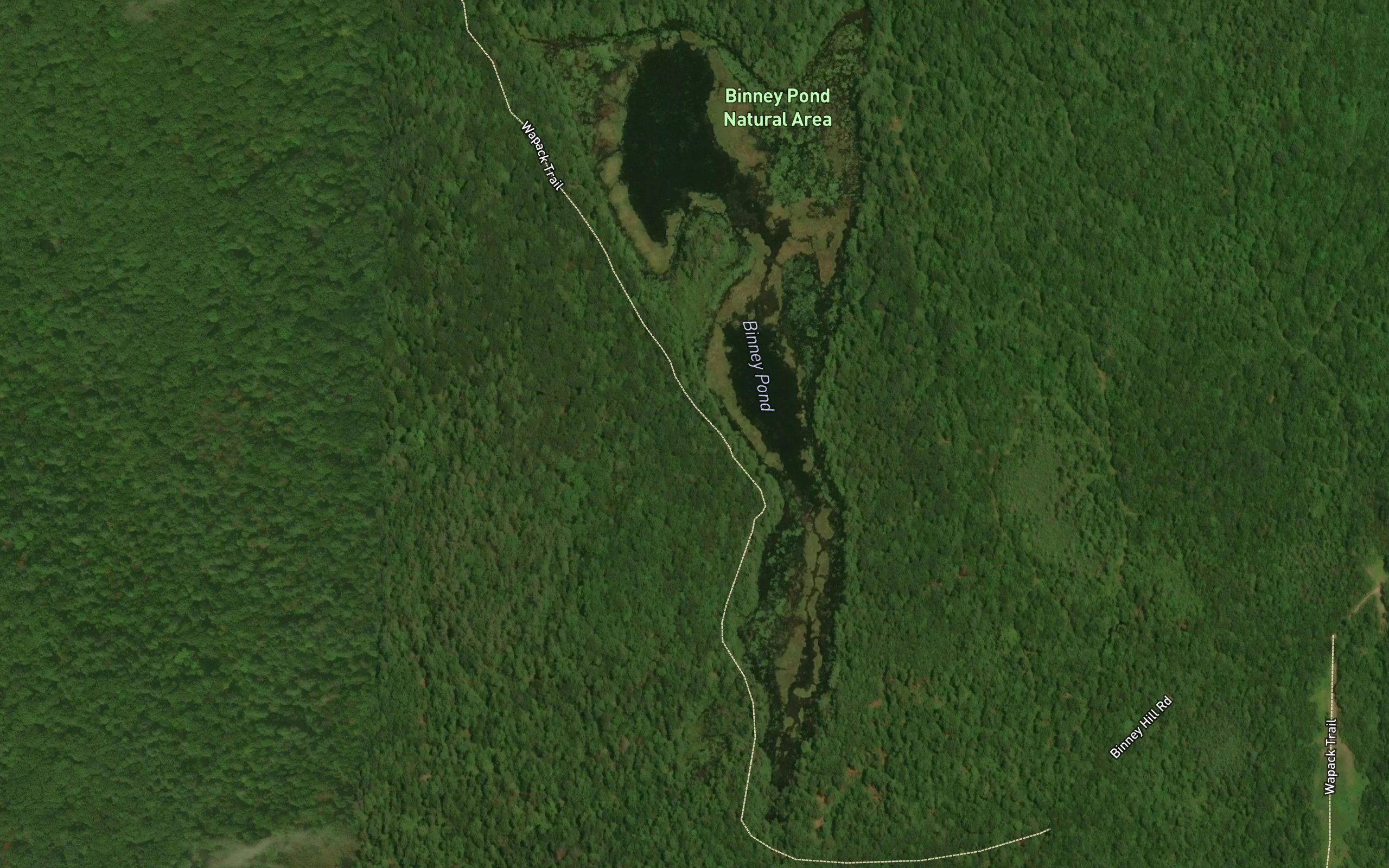 Binney Pond