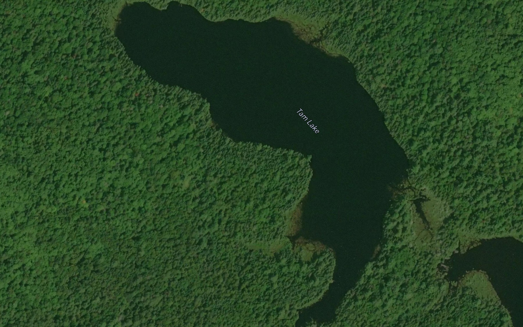 Satellite map of the Tam Lake