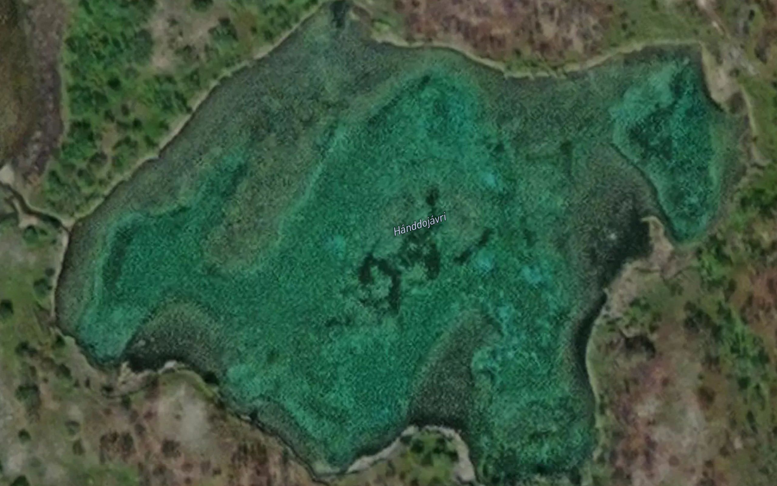Handujavri