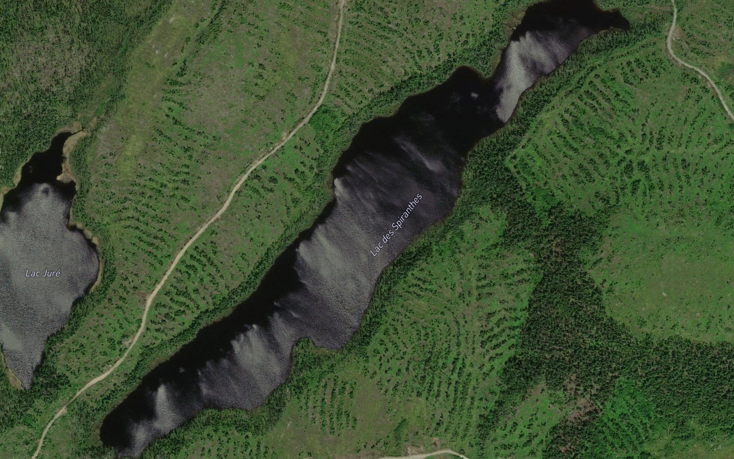 Lac des Spiranthes