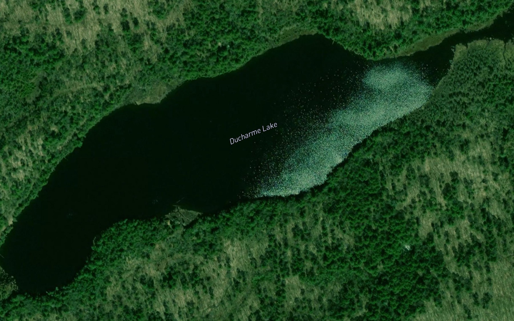 Satellite map of the Ducharme Lake