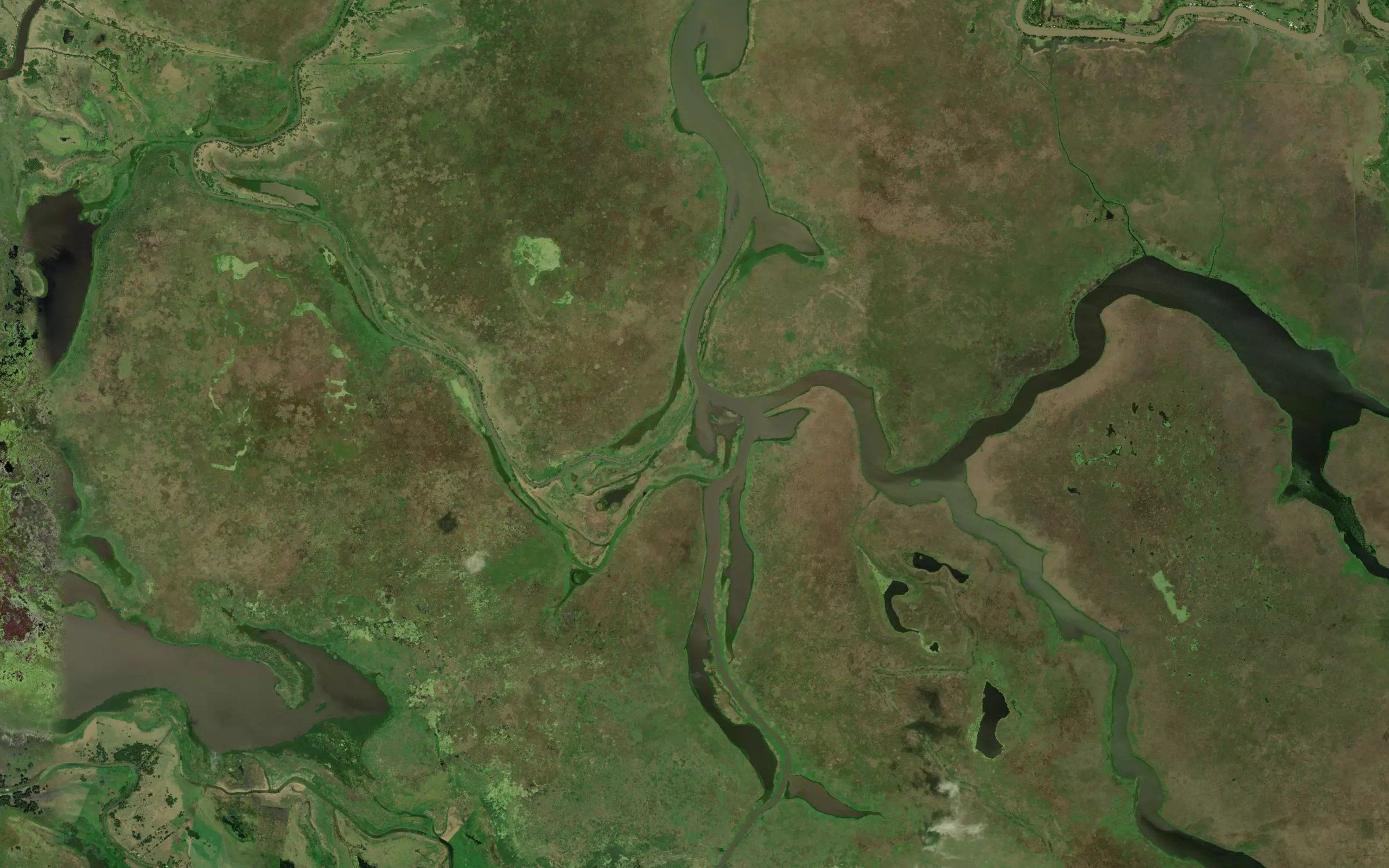Laguna Tintal