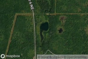 Scout Camp Pond