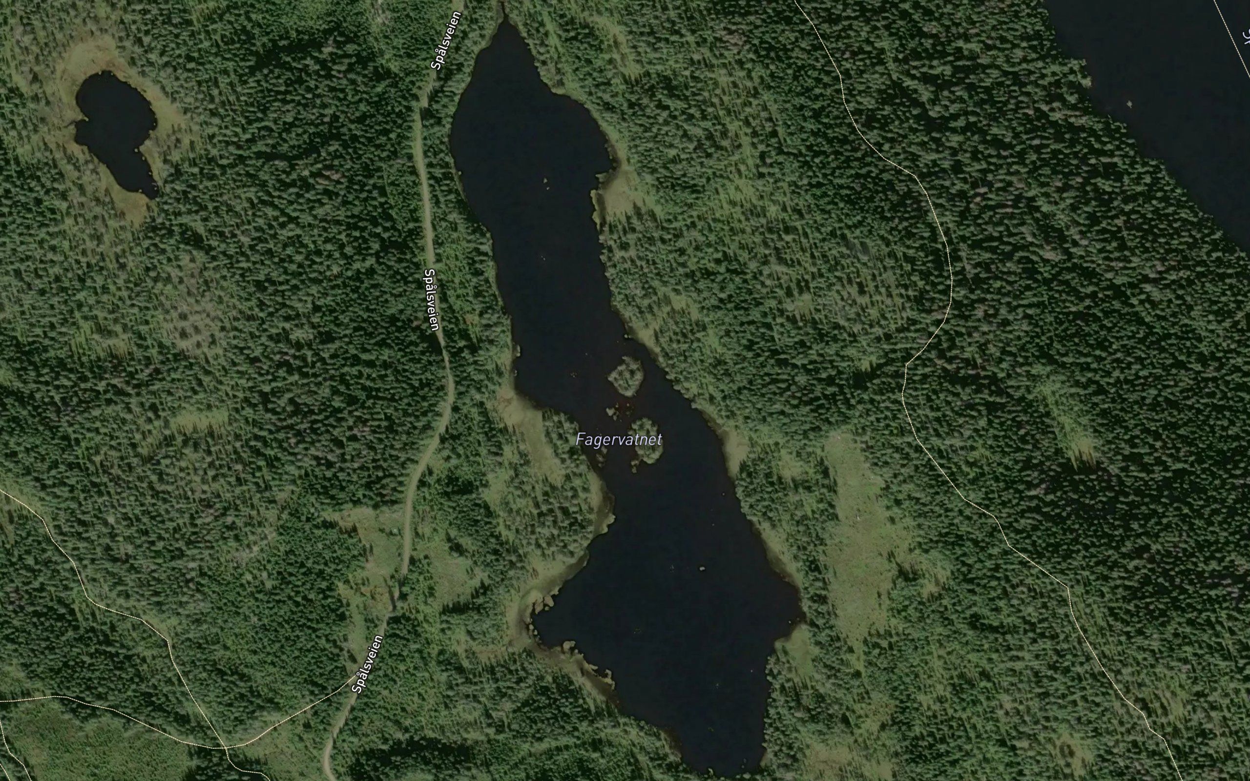 Fagervann