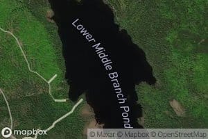 Lower Middle Branch Pond