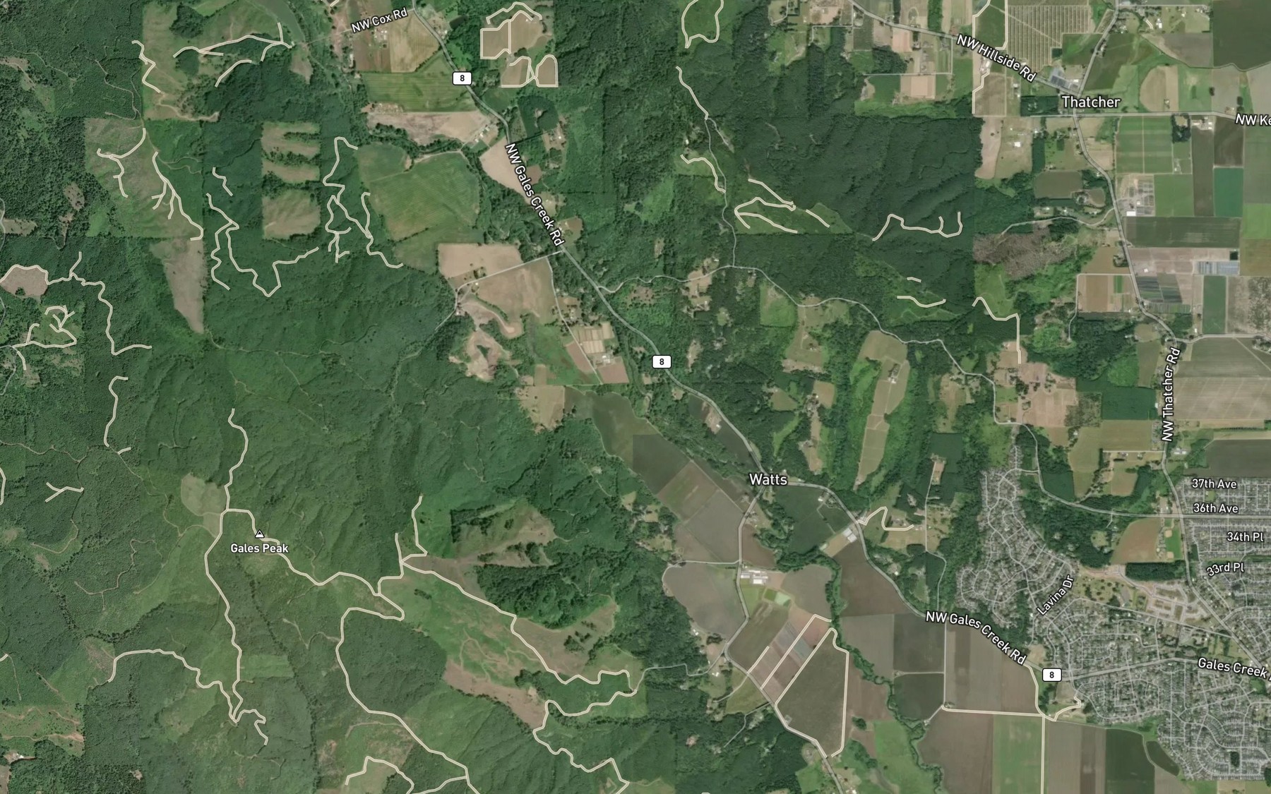 Satellite map of the Roderick Creek