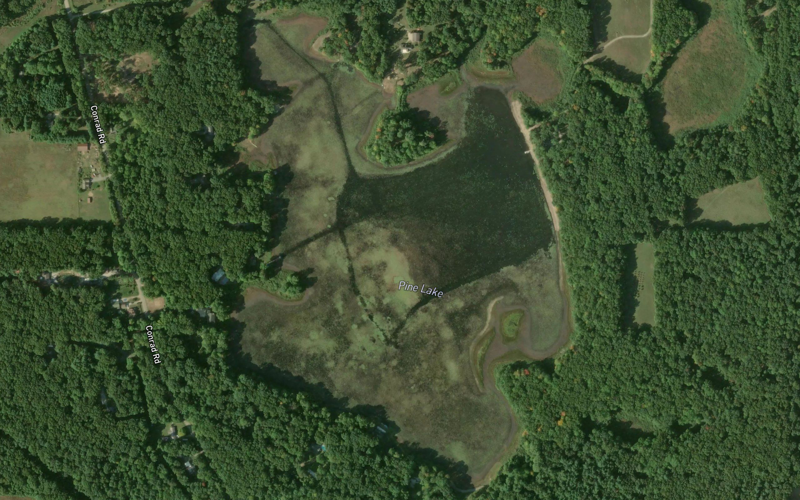 Pine Lake