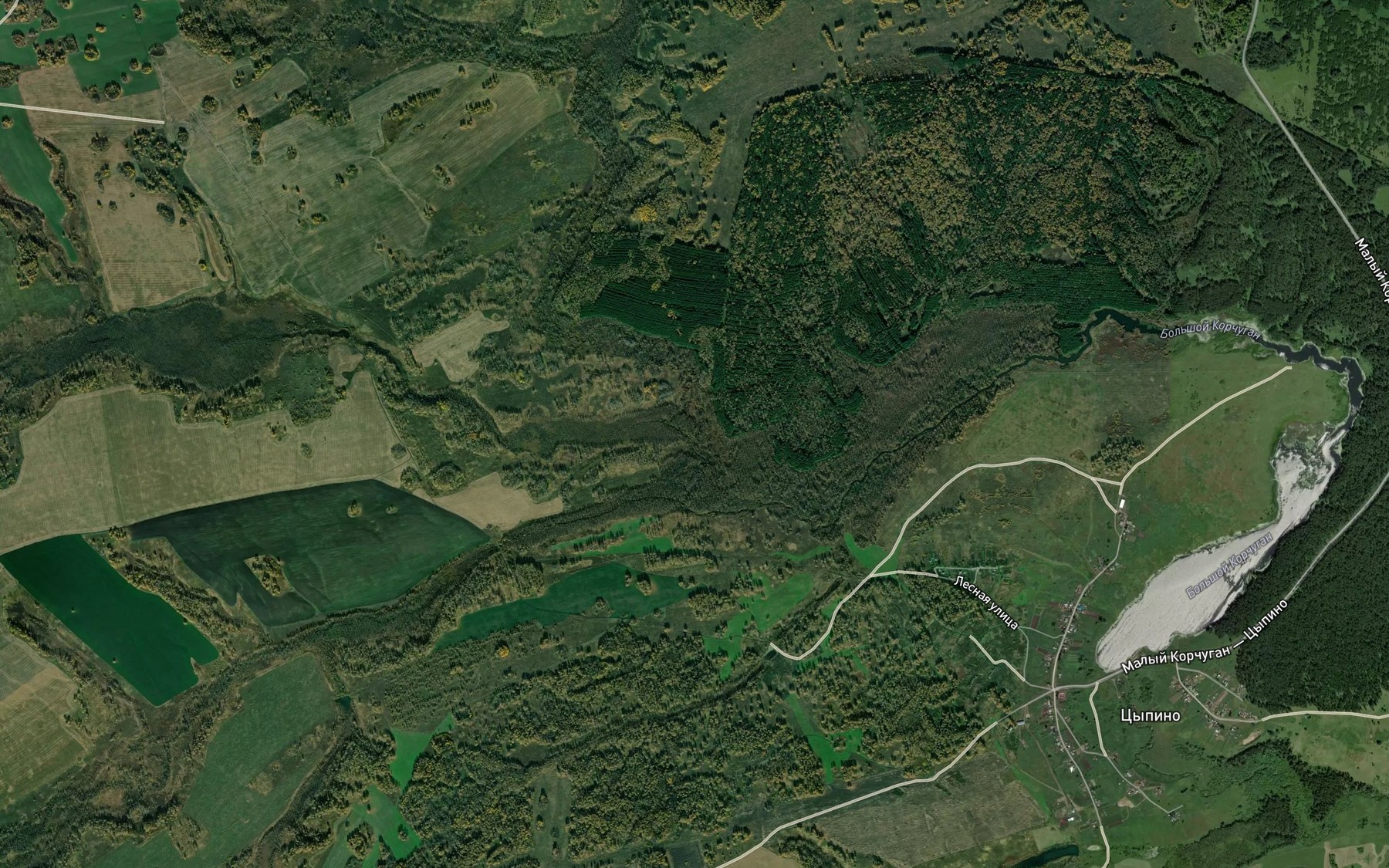 Satellite map of the Bogorodskaya