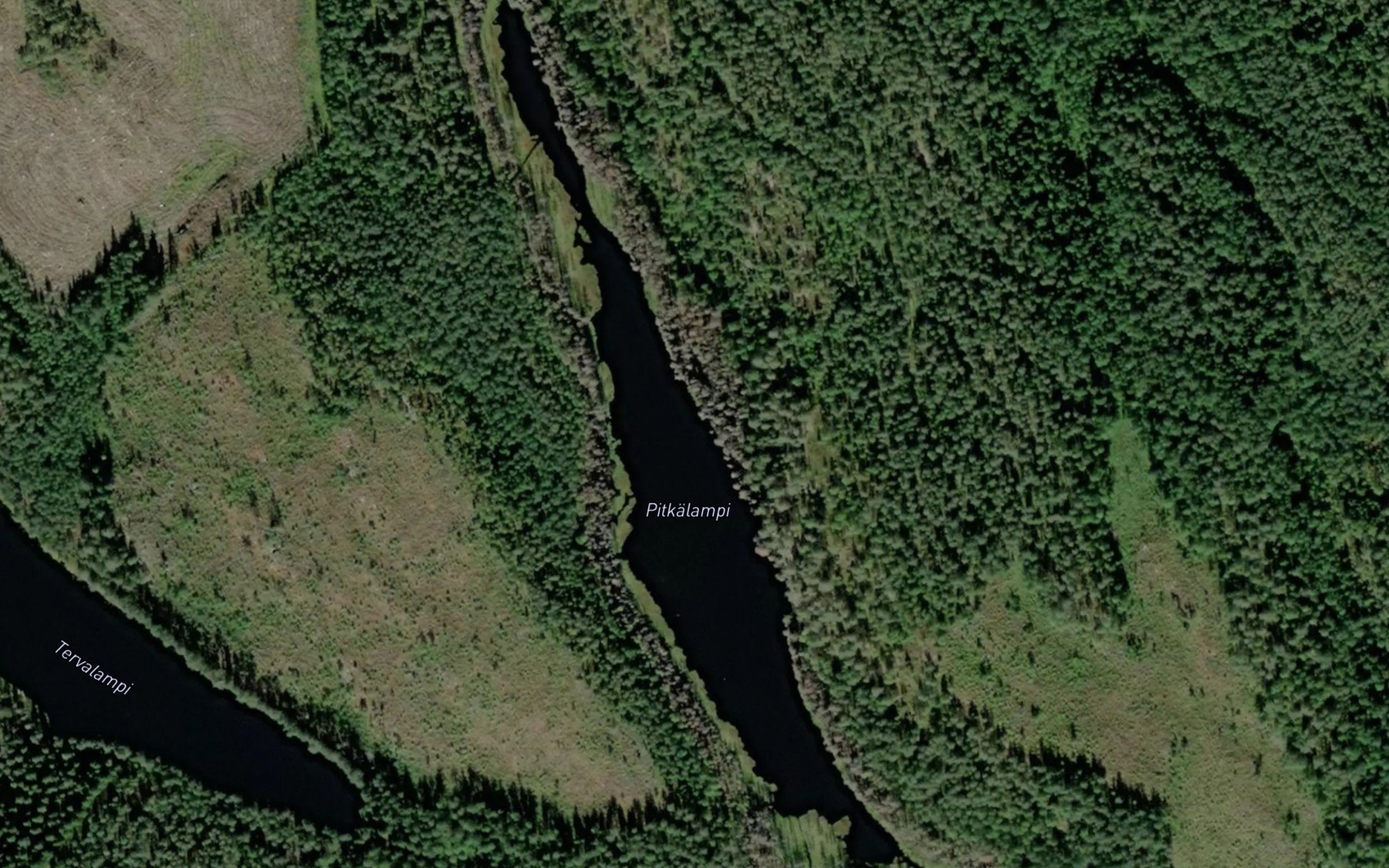 Satellite map of the Pitkalampi
