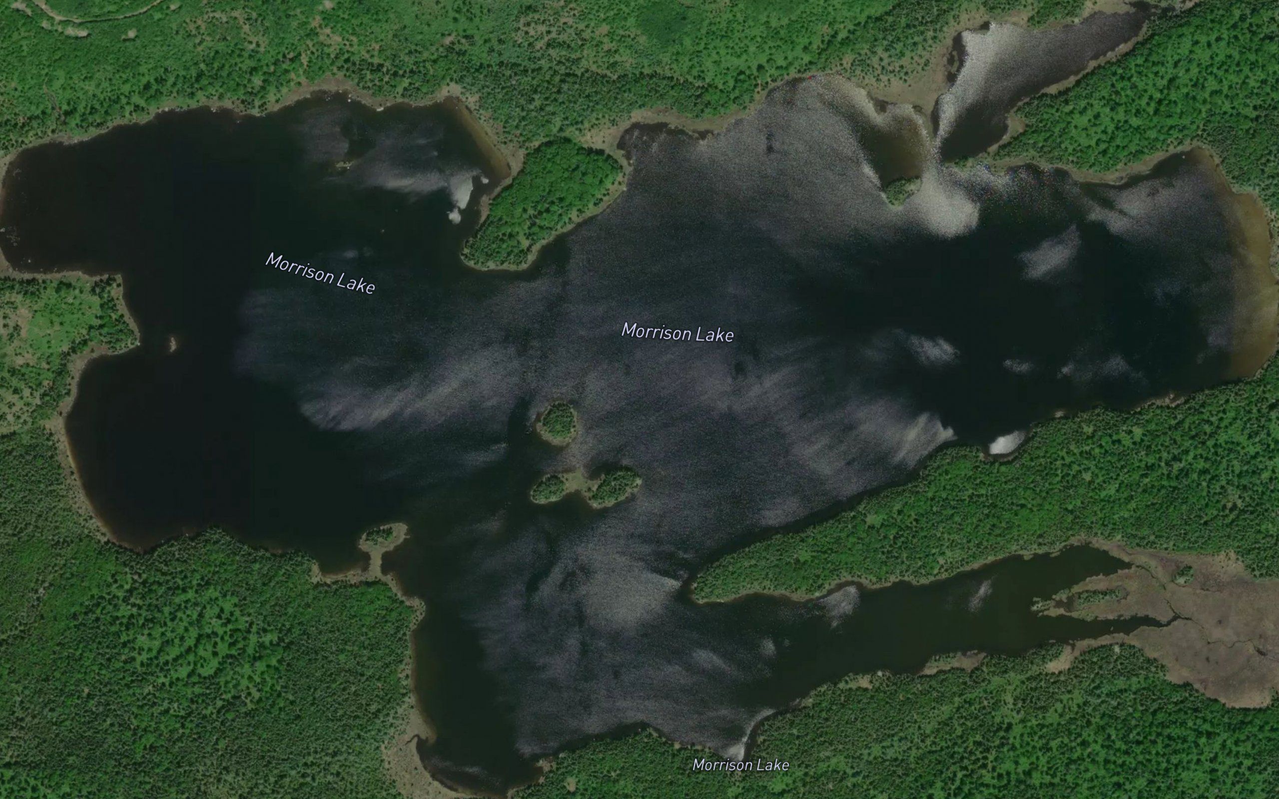 Morrison Lake