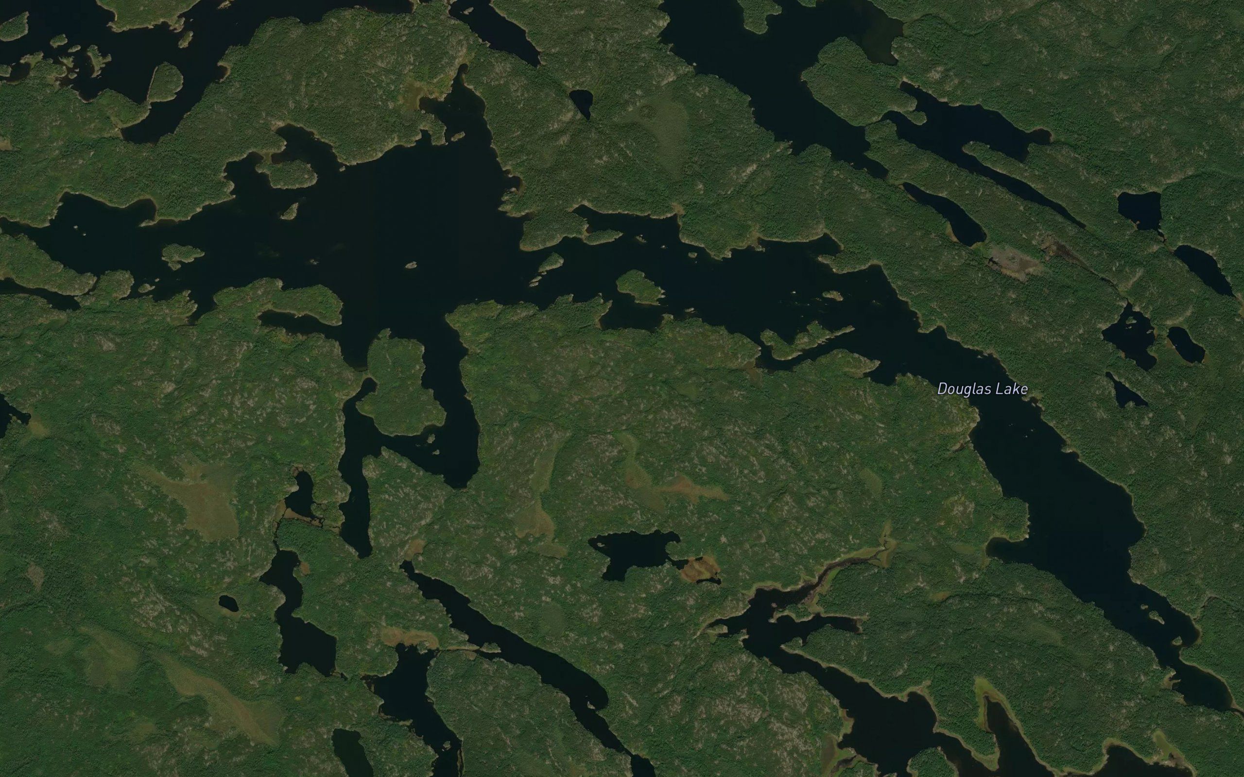 Douglas Lake