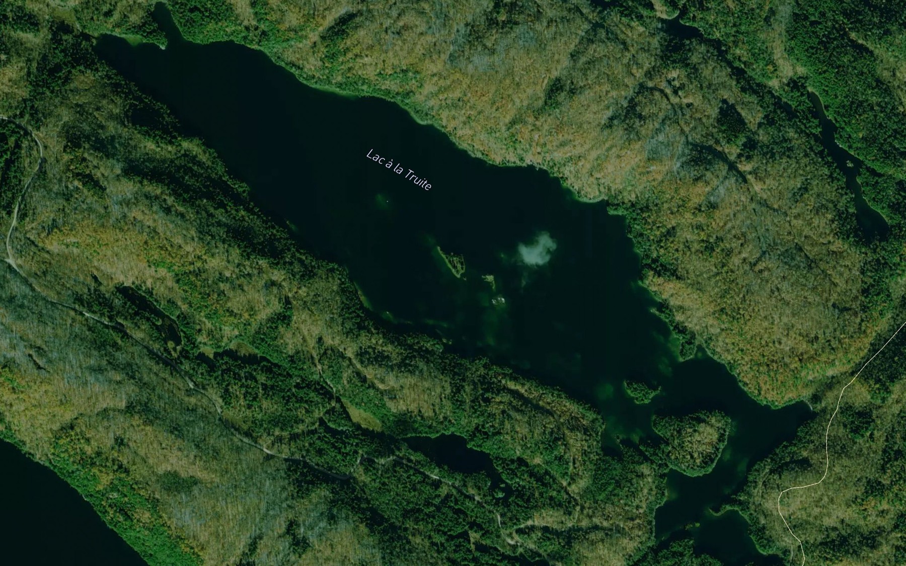 Satellite map of the Lac a la Truite