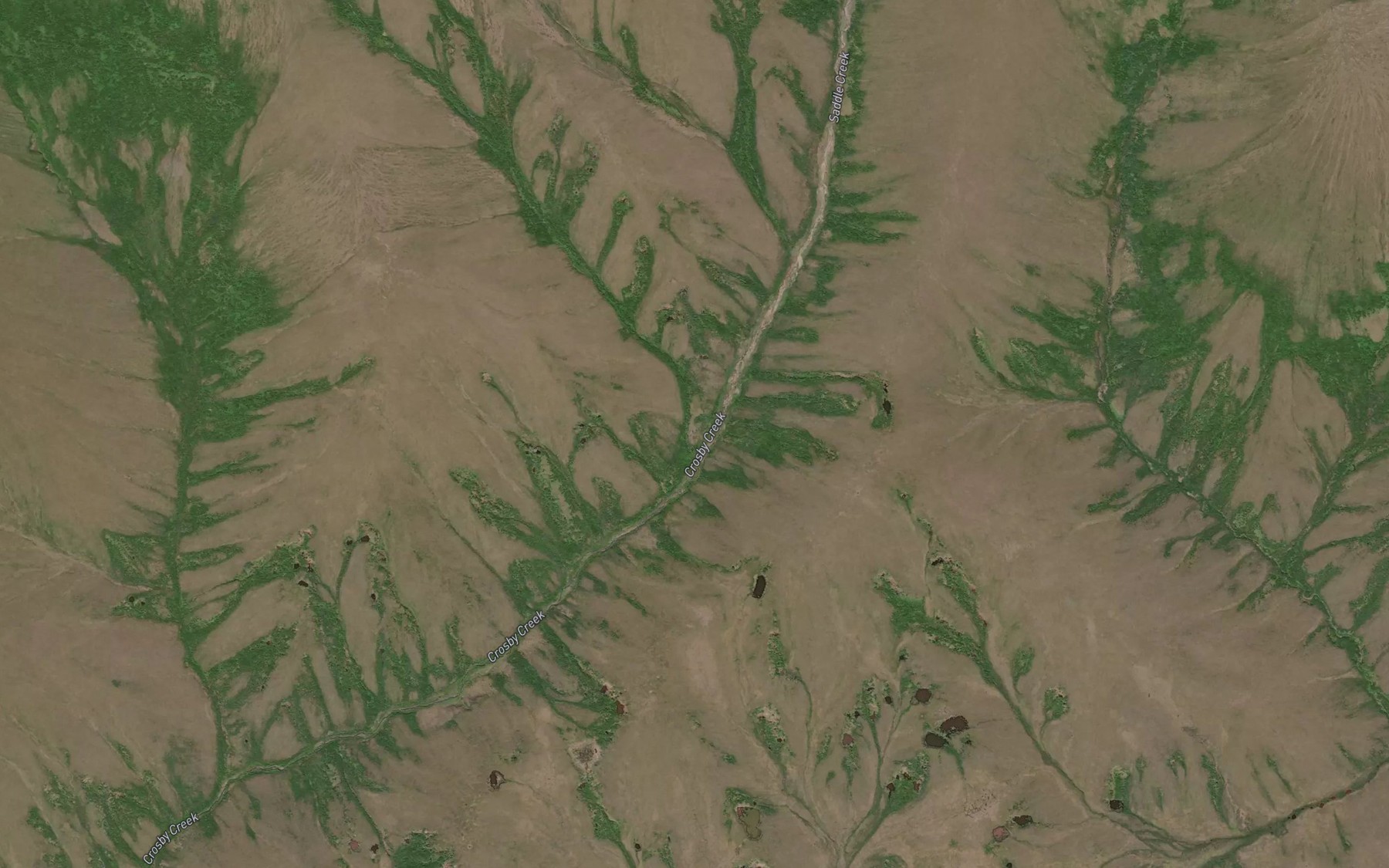 Satellite map of the Pinnacle Creek