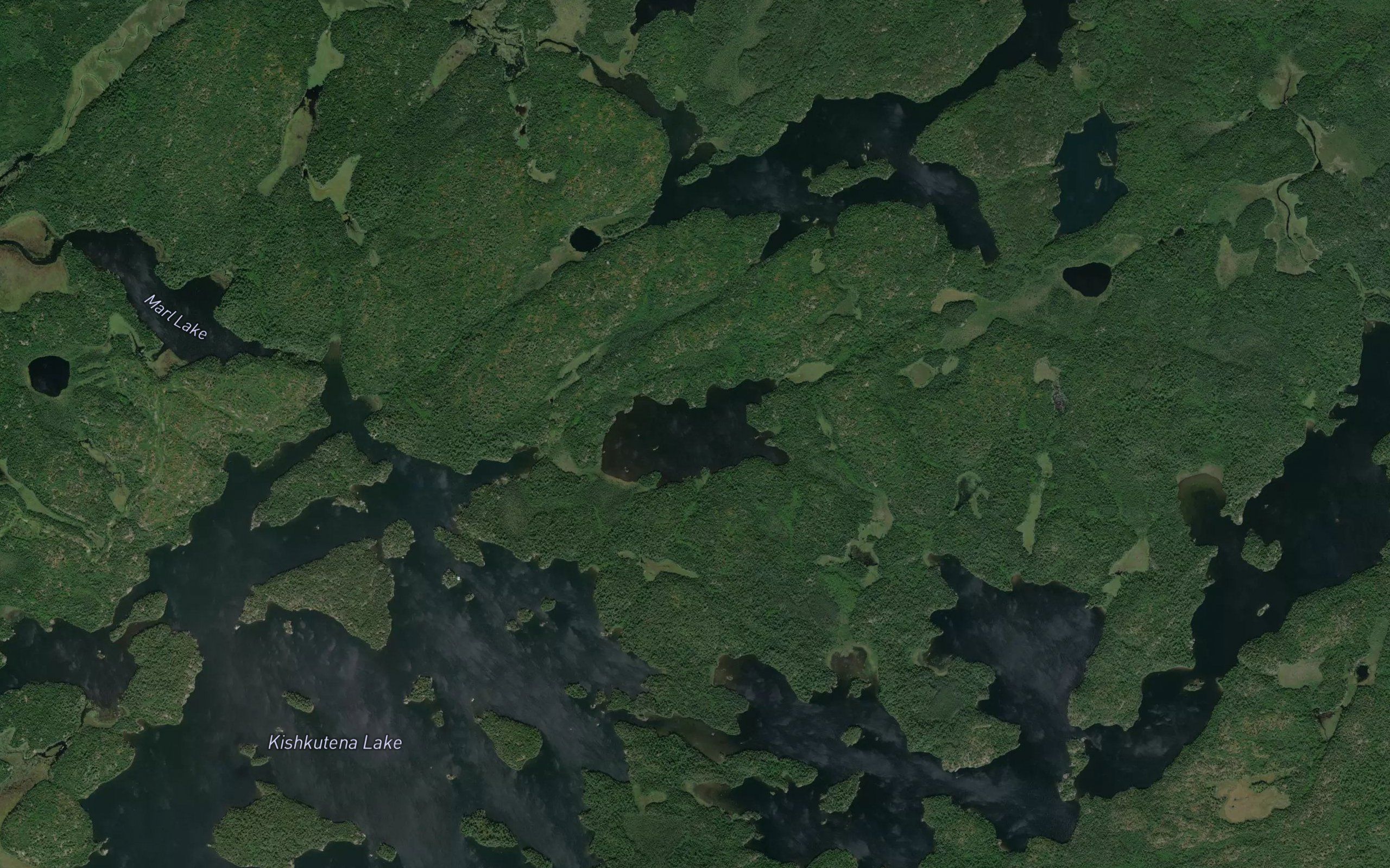 Fournier Lake