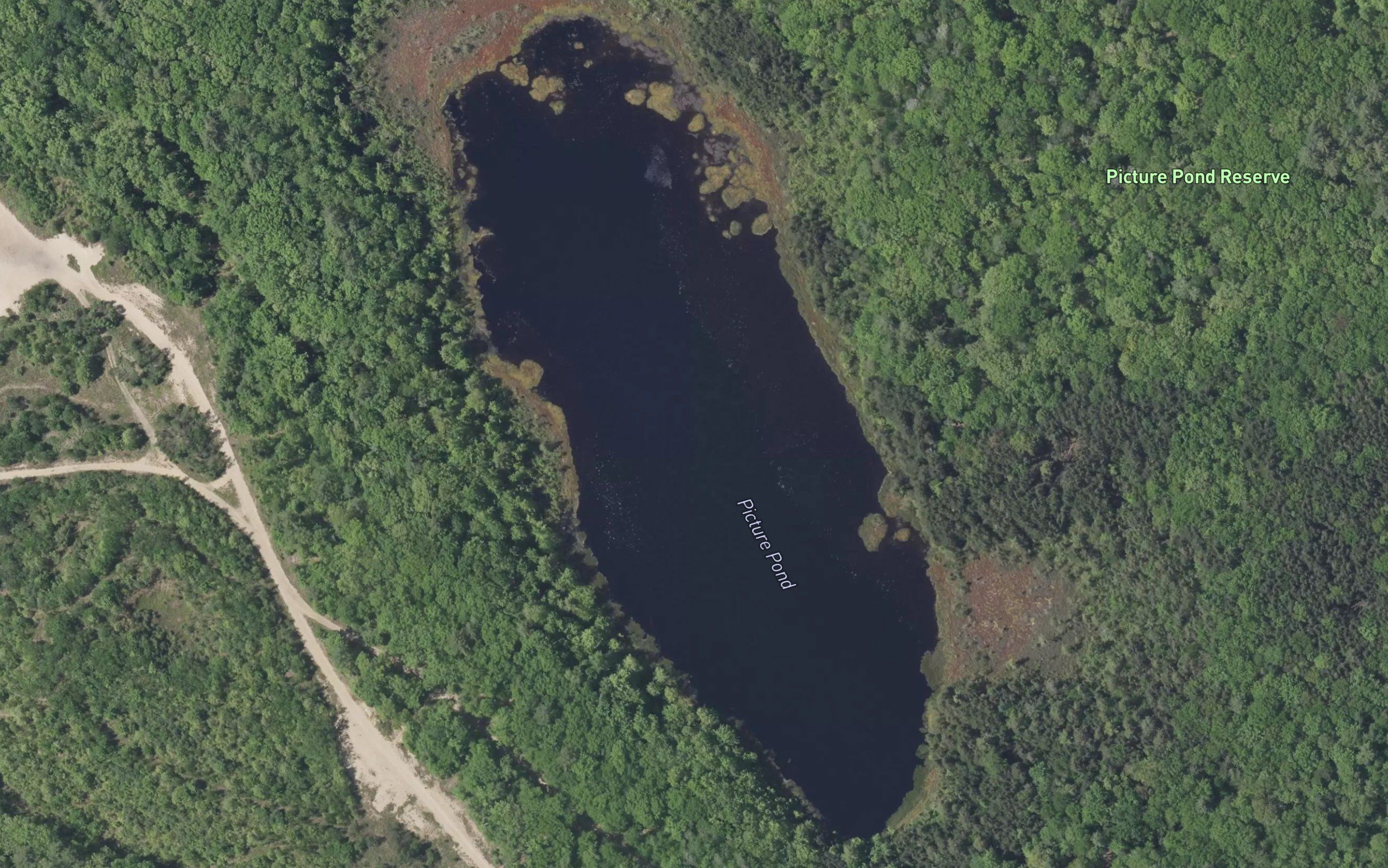 Picture Pond