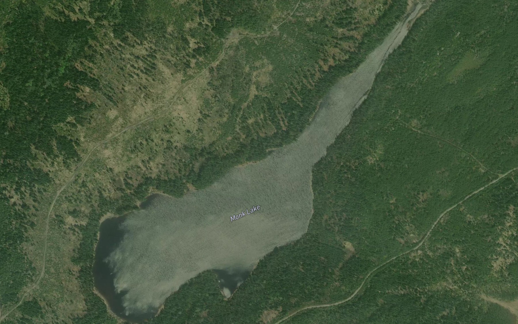 Satellite map of the Monk Lake