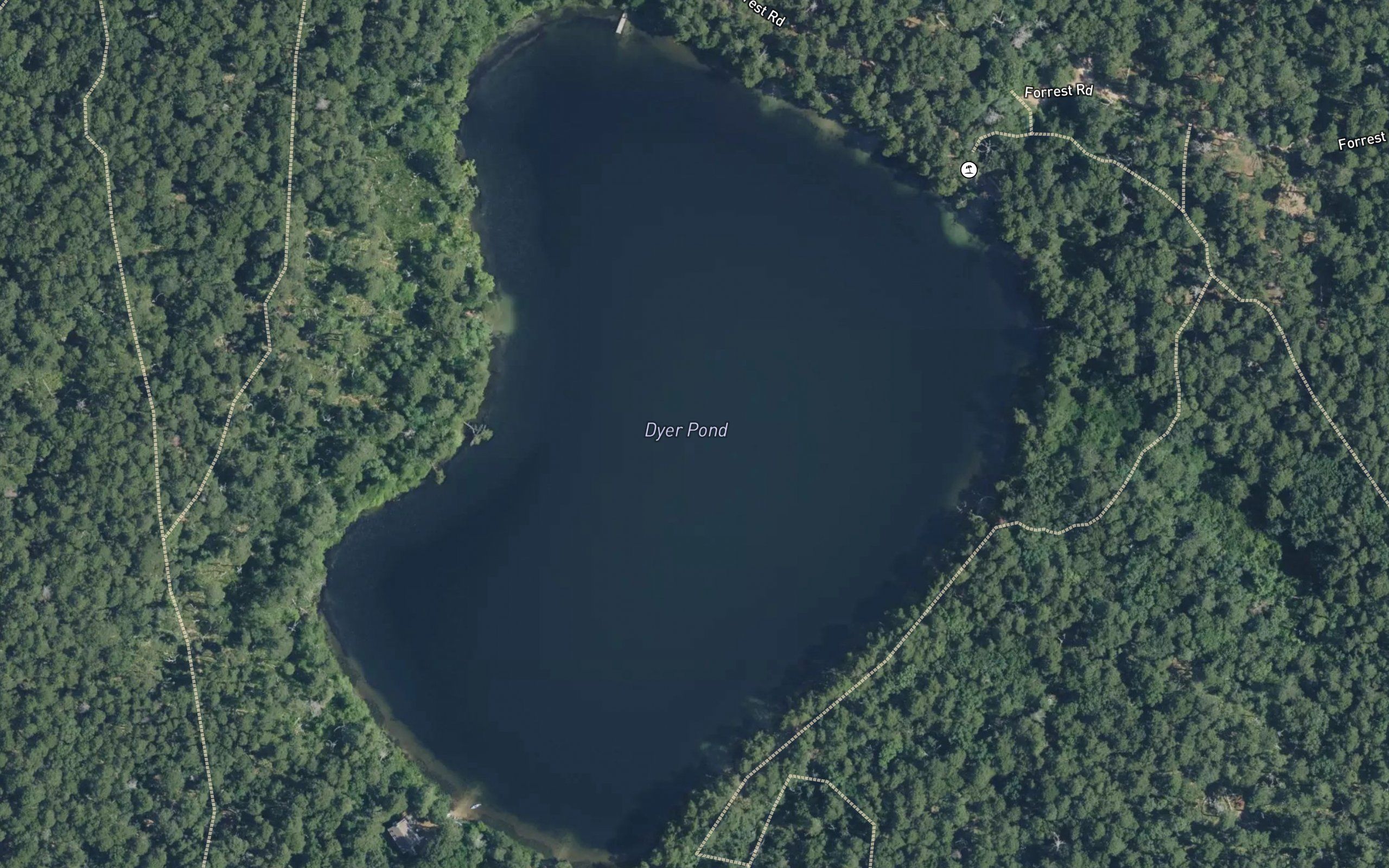 Dyer Pond