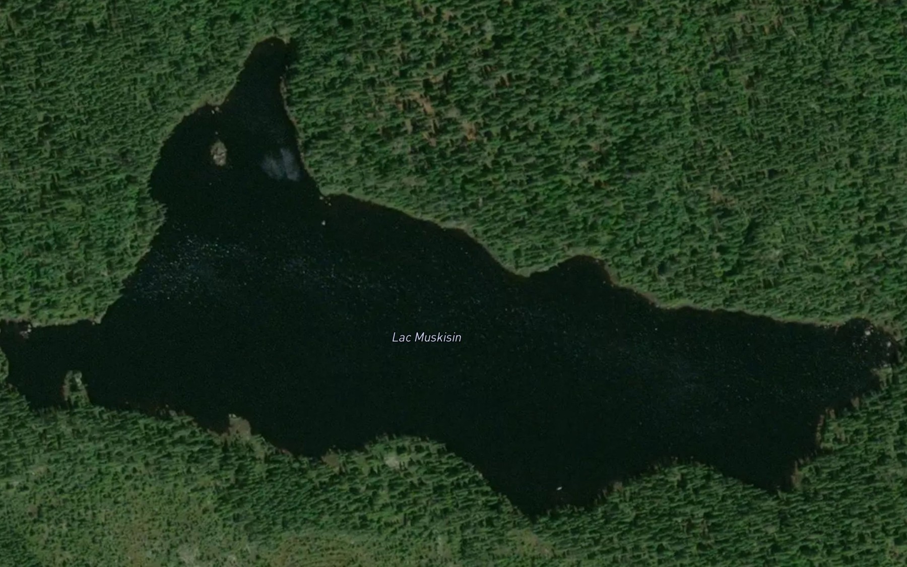 Satellite map of the Lac Muskisin