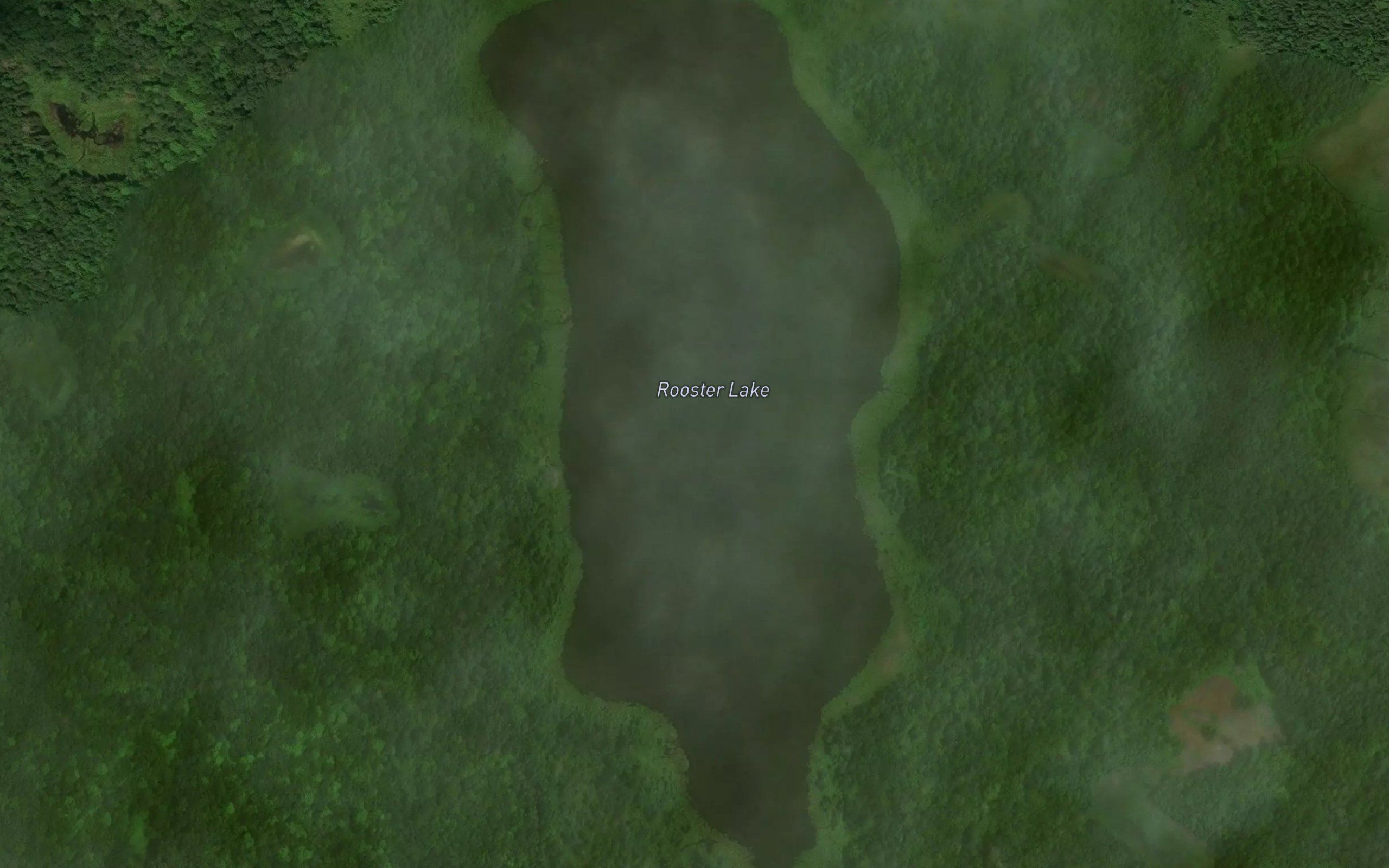 Rooster Lake