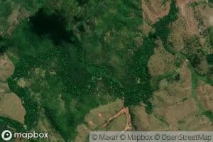 Igarape do Jejuzinho