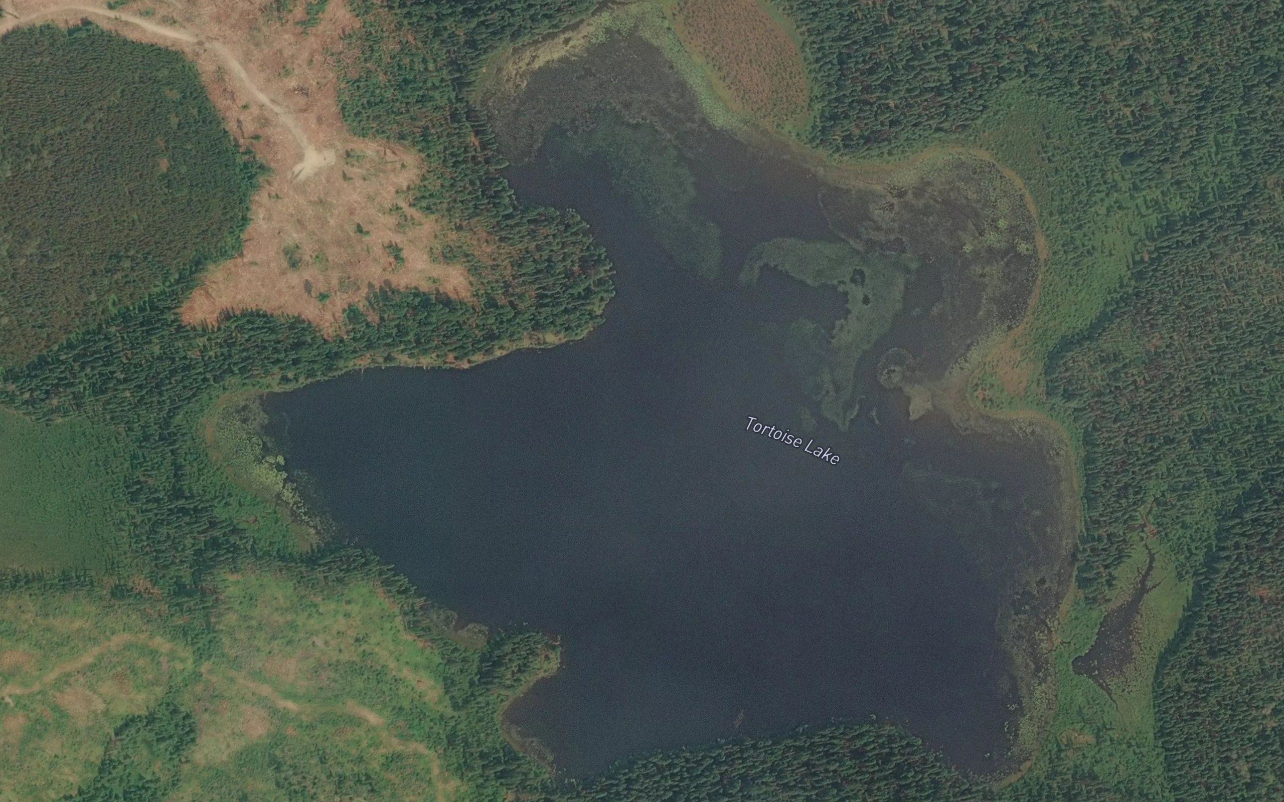 Tortoise Lake