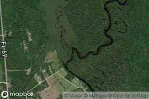 Telogia Creek