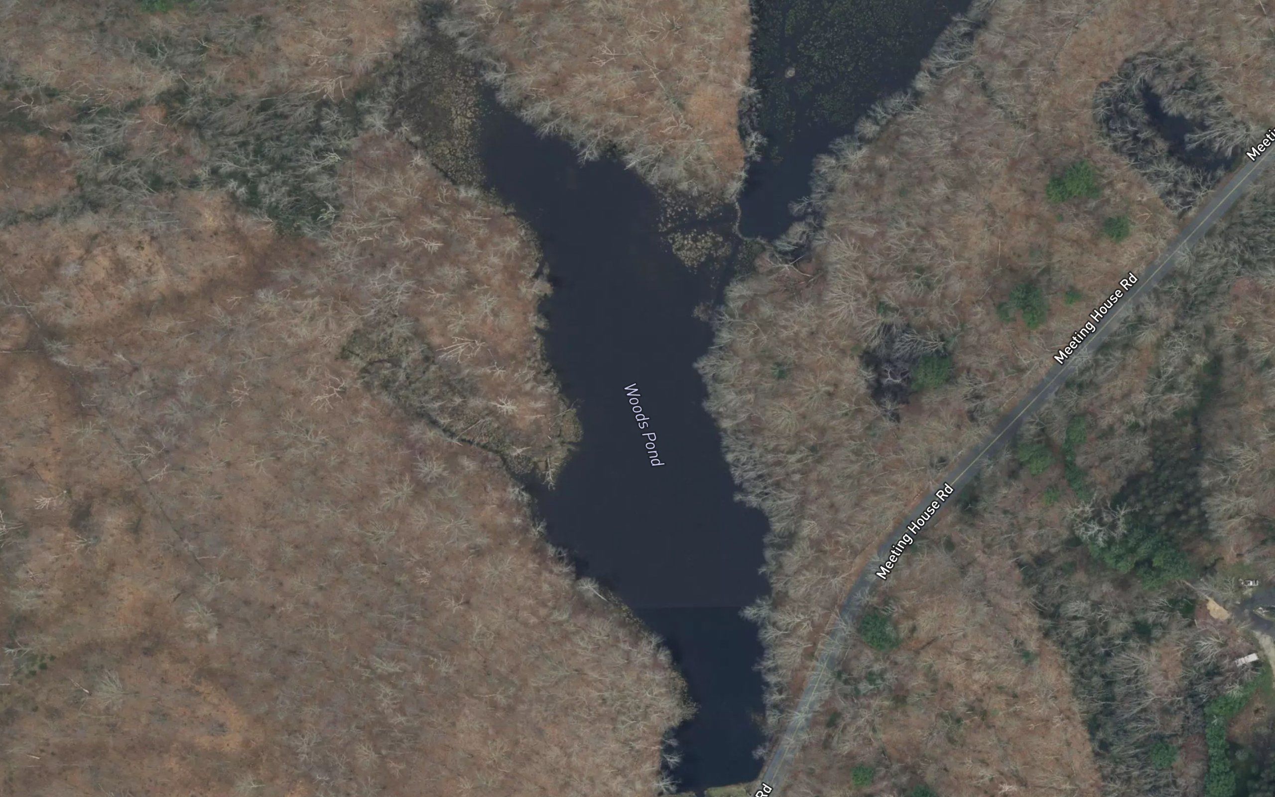 Woods Pond