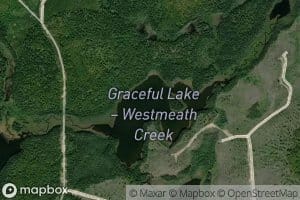 Graceful Lake